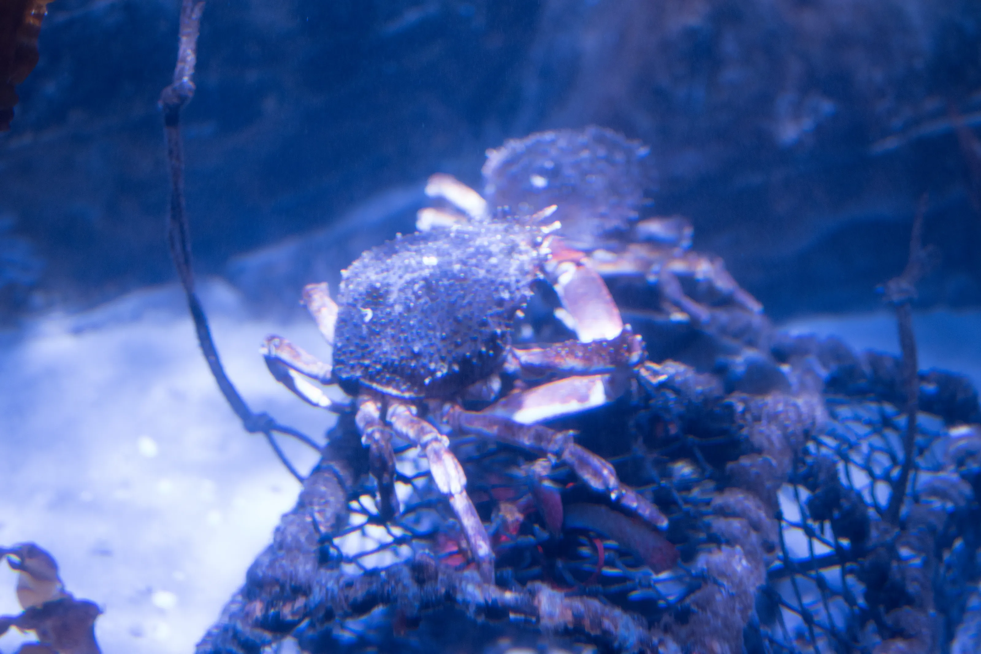 Underwater World