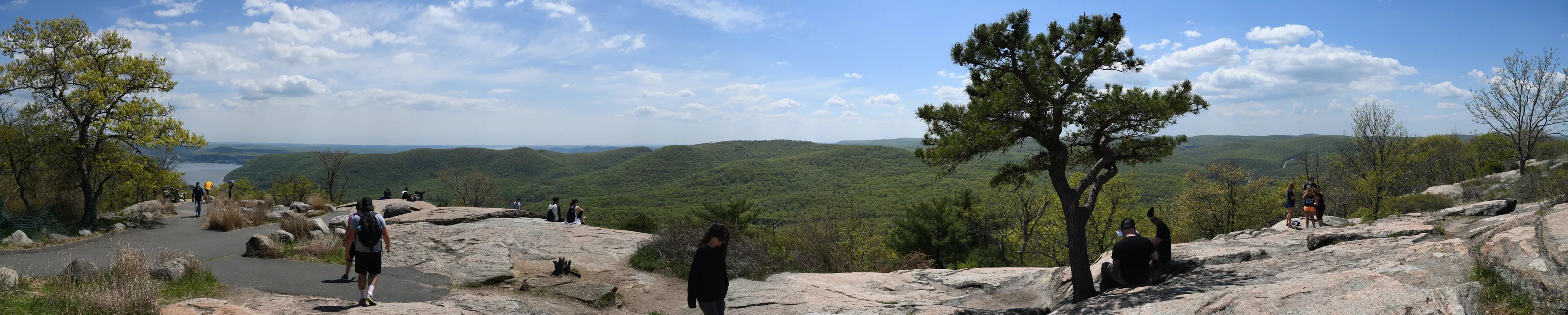 Panorama images or wide angle views