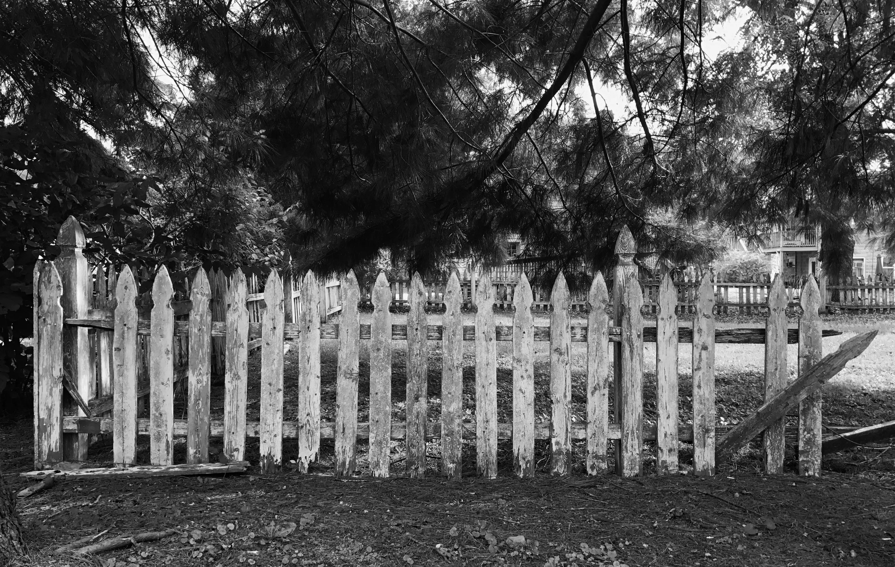 Fences