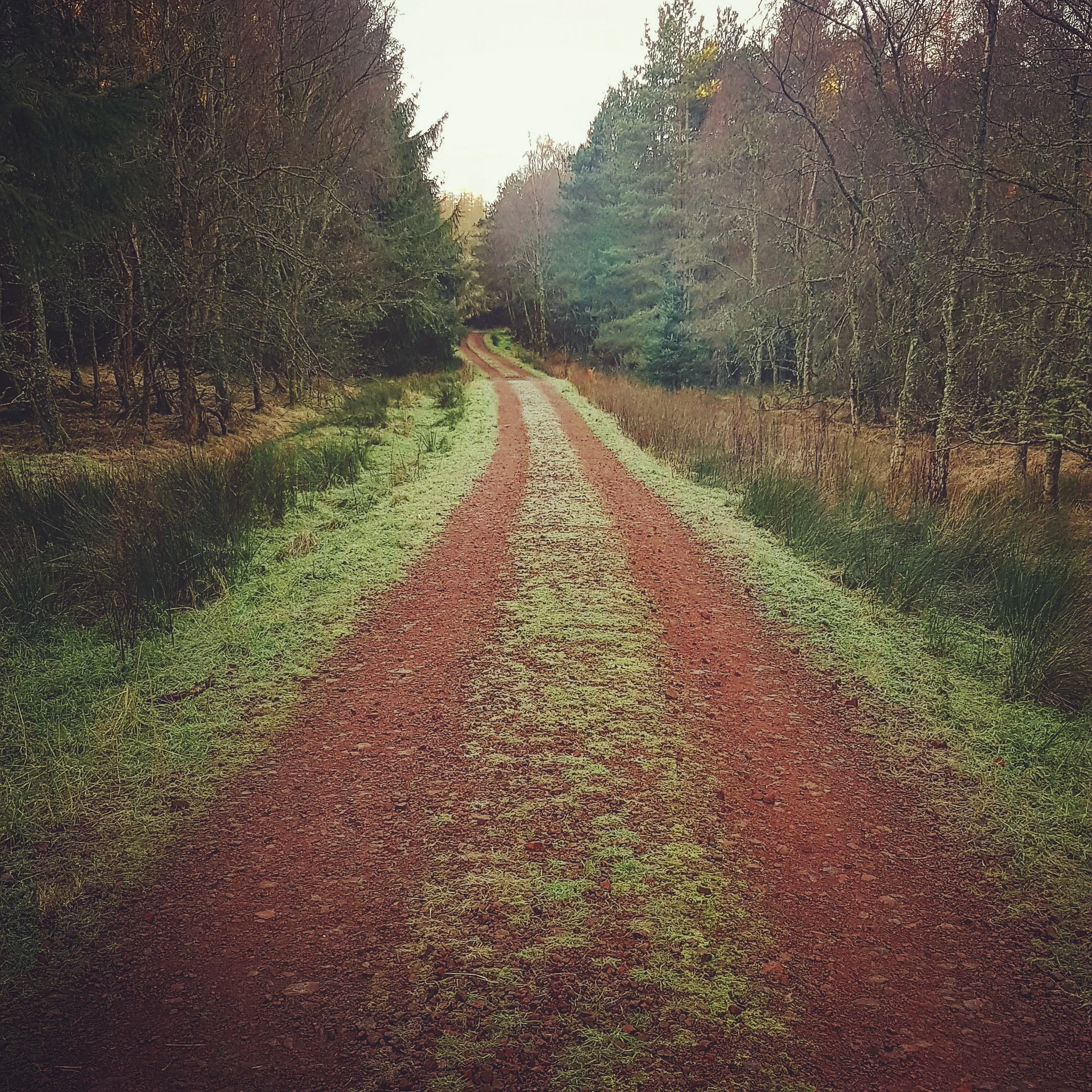 Road to Nowhere