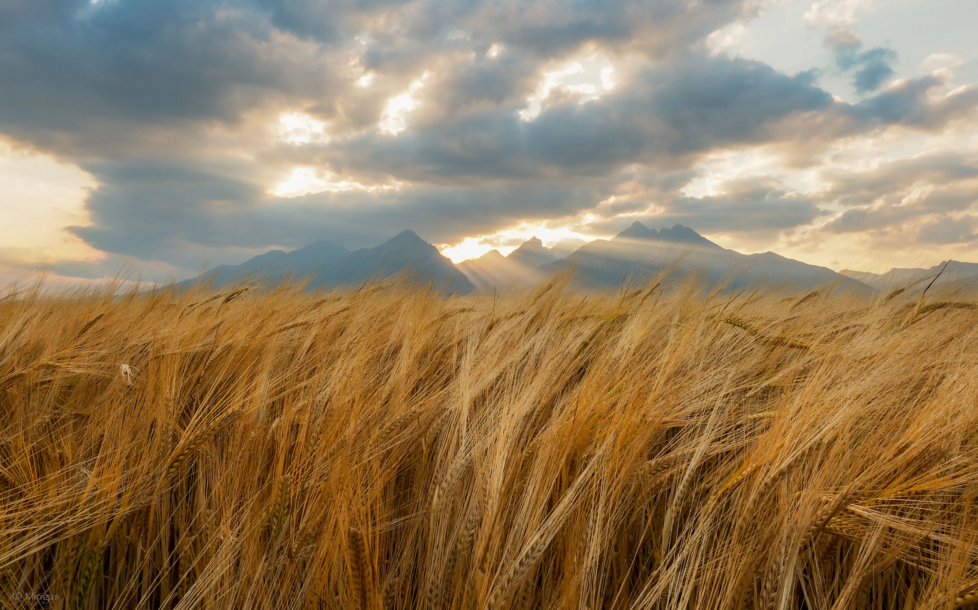 Unique Landscapes
