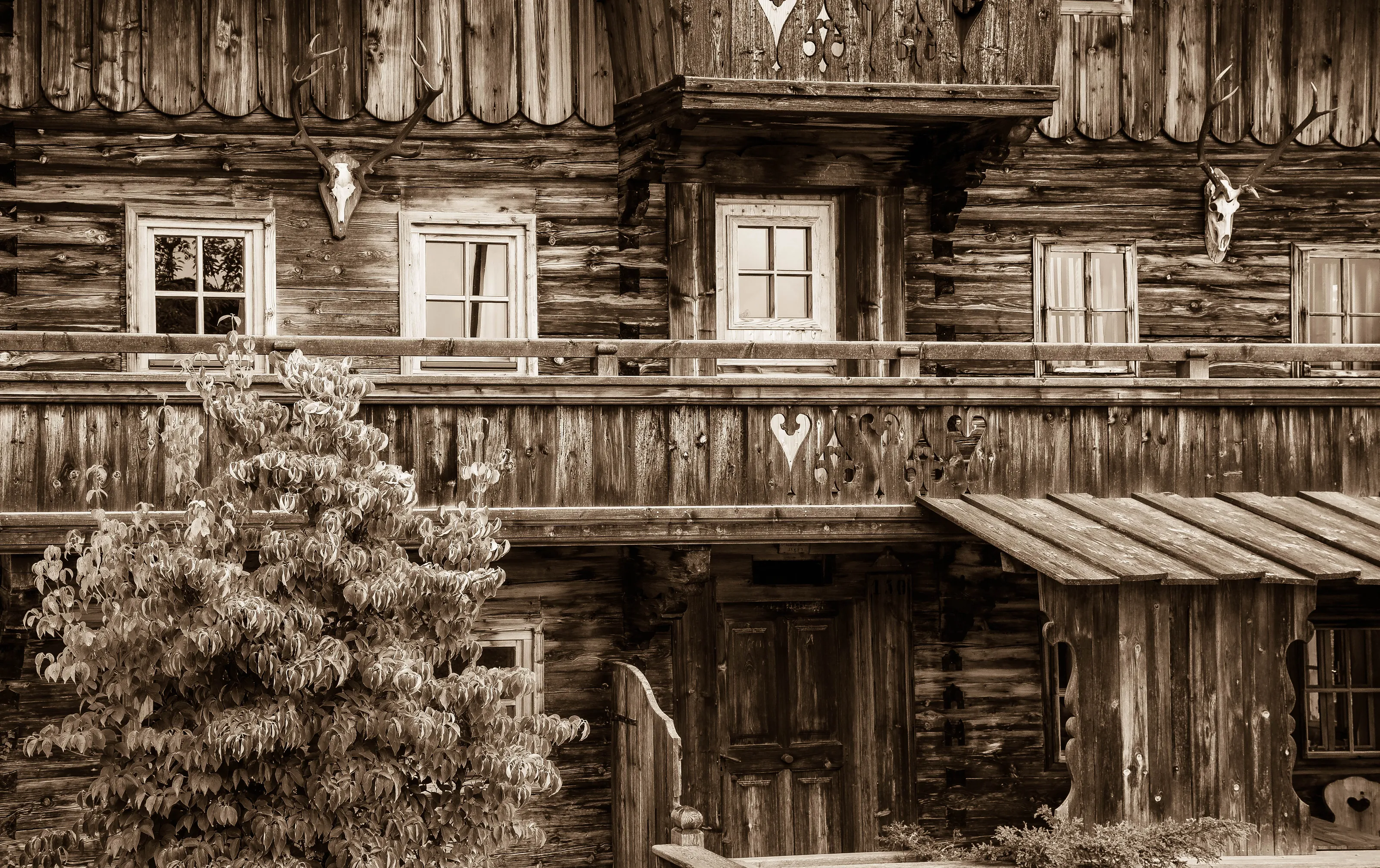 The Beauty of Wood