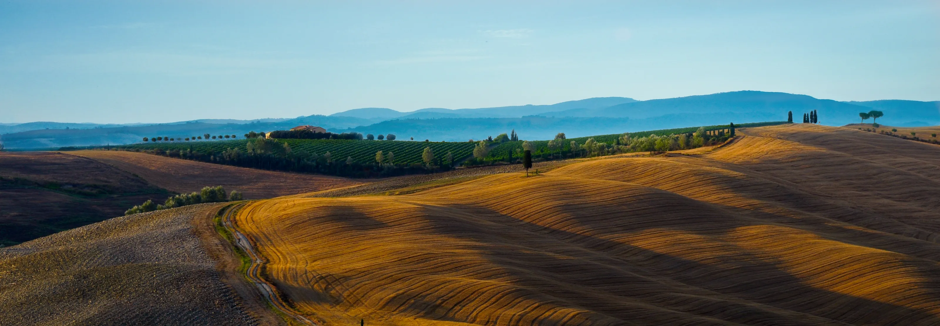 Summer landscapes