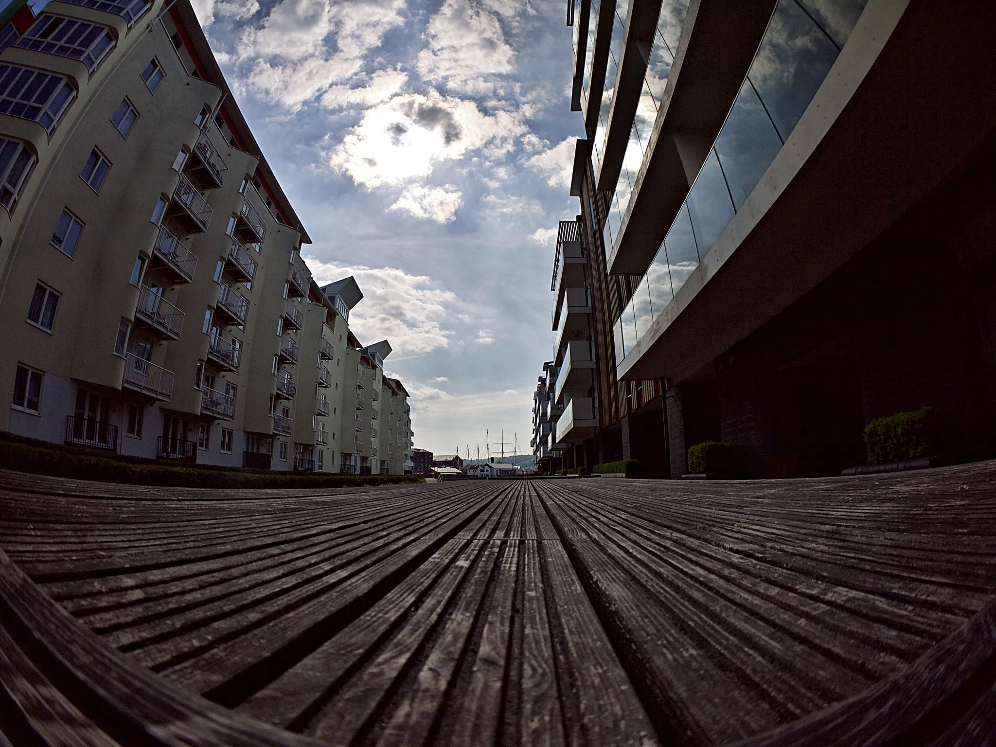 Fish Eye