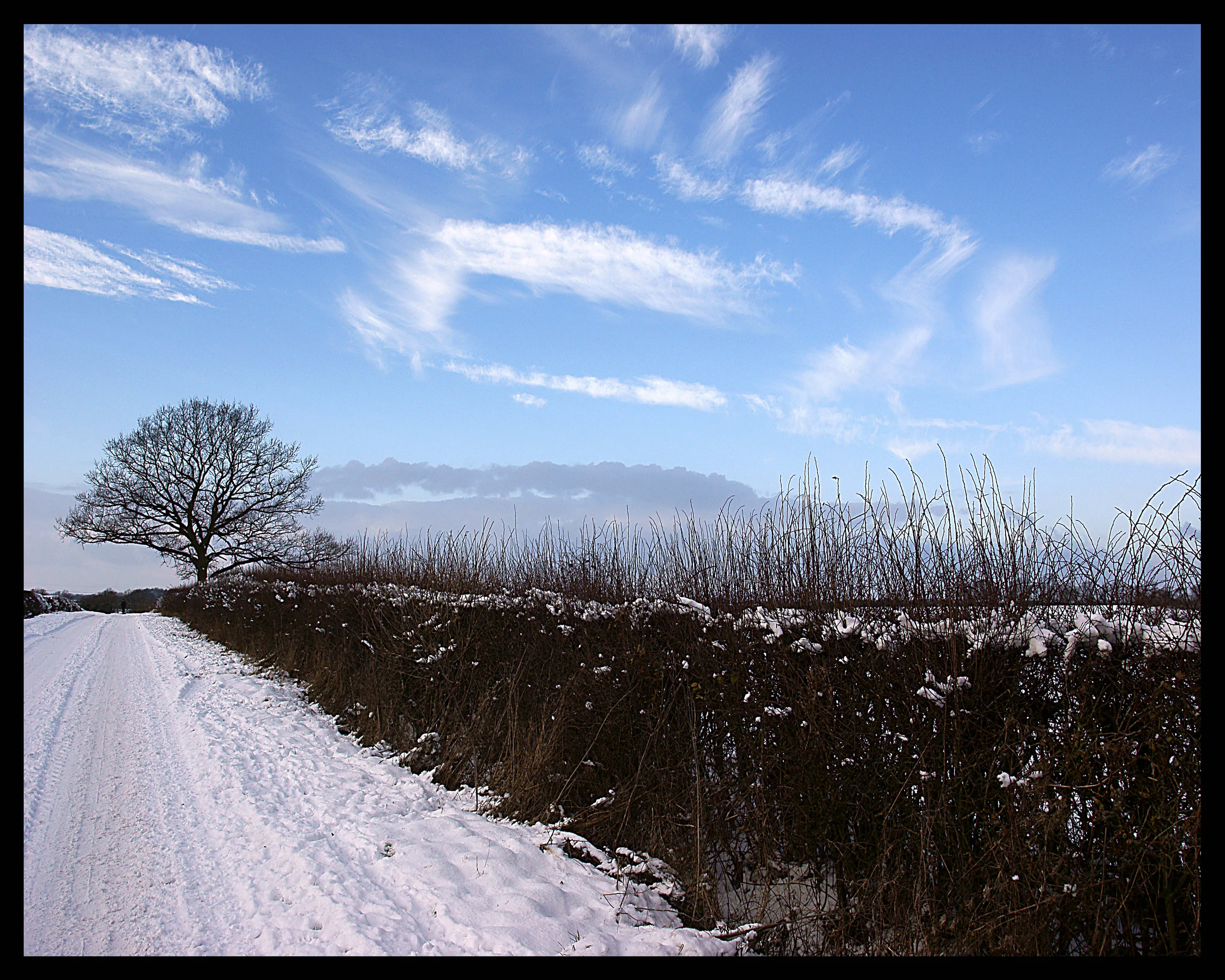Snowy days