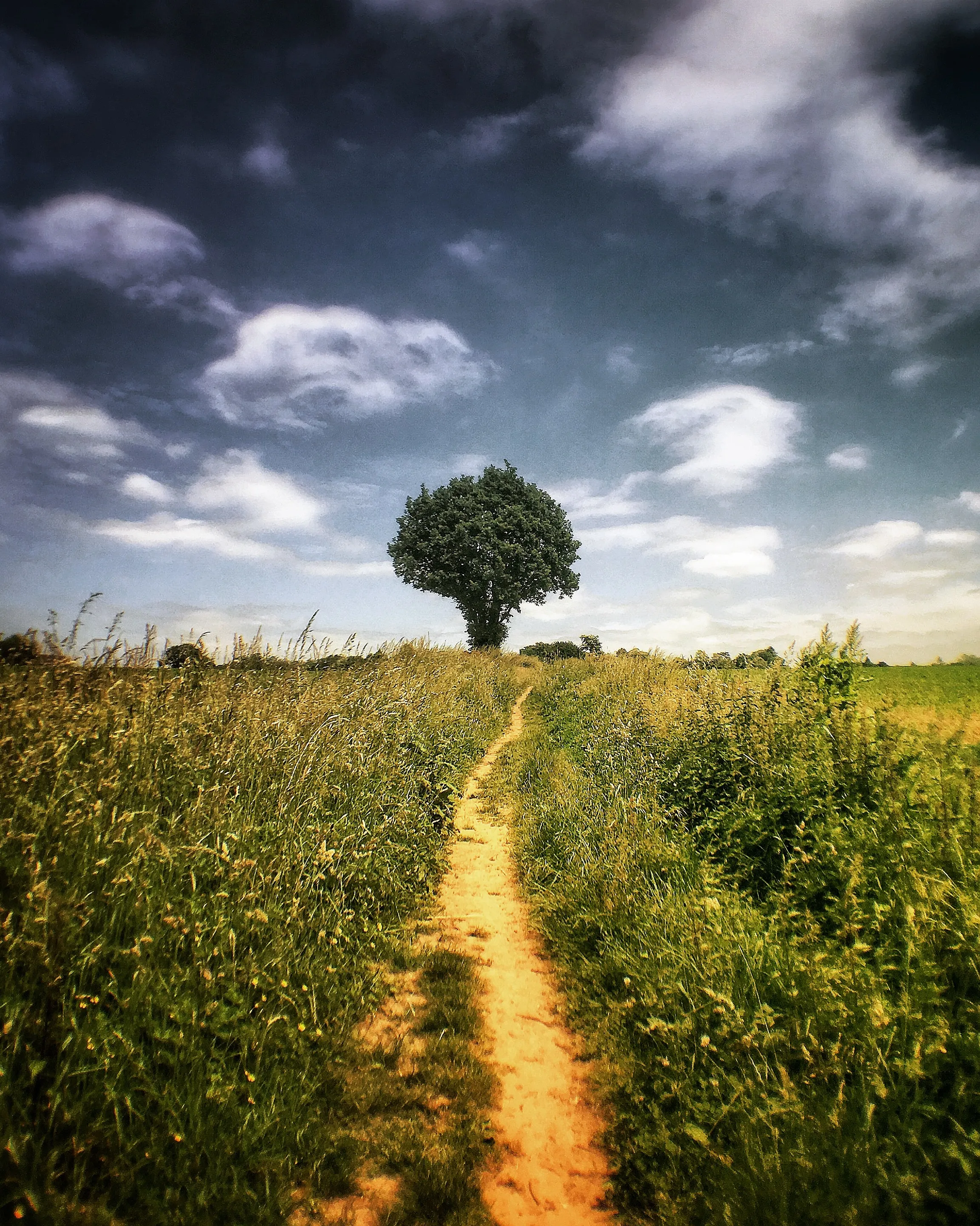 Countryside