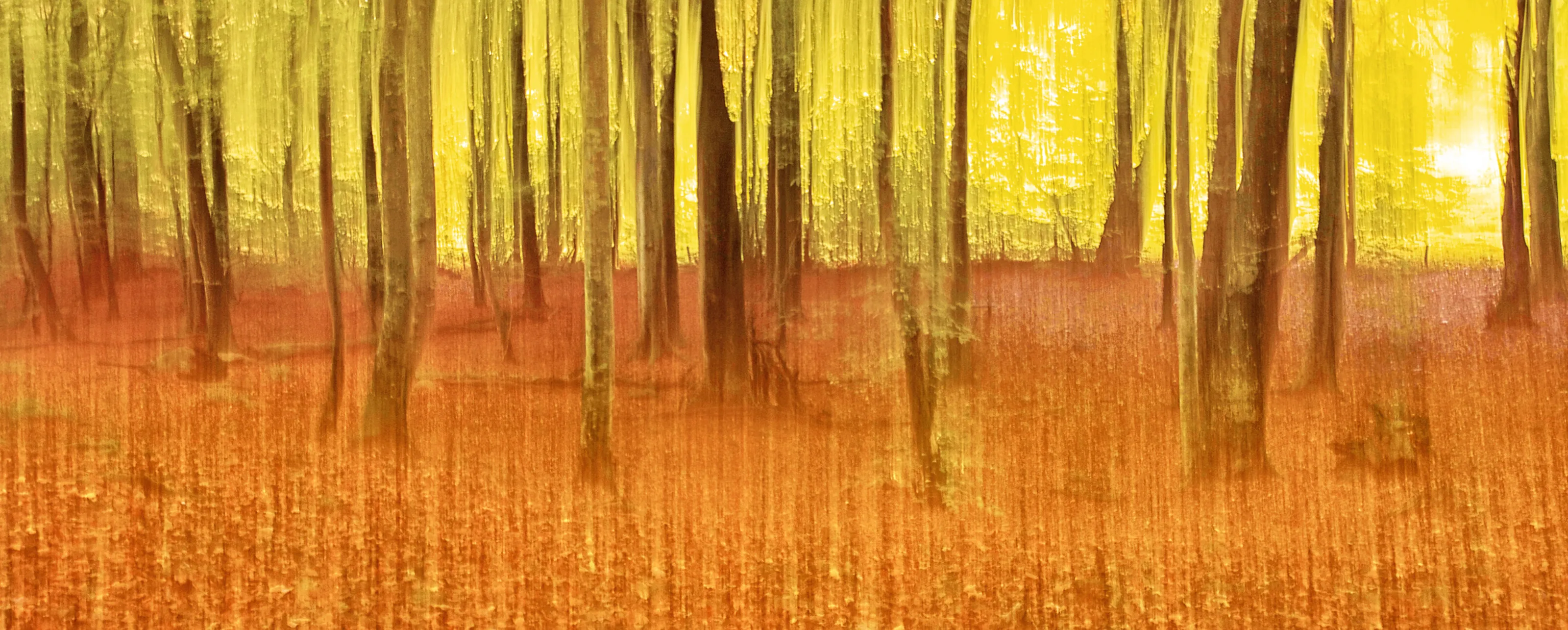 Abstraction in nature