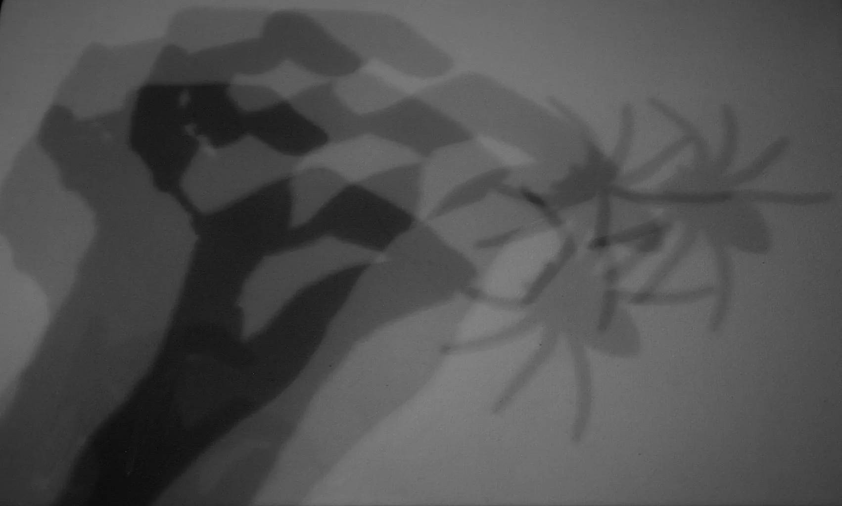 Shadows
