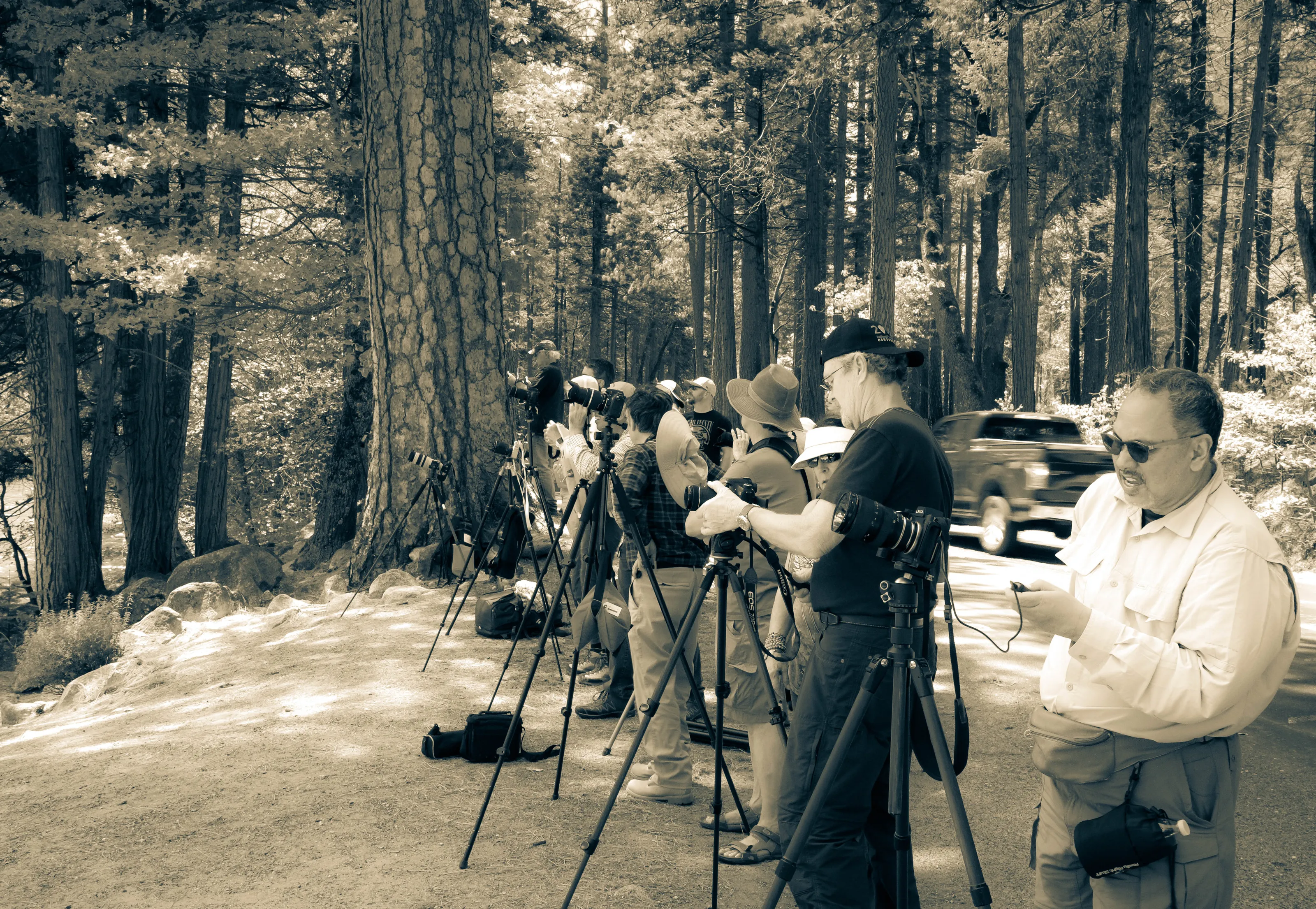 Taking Pictures