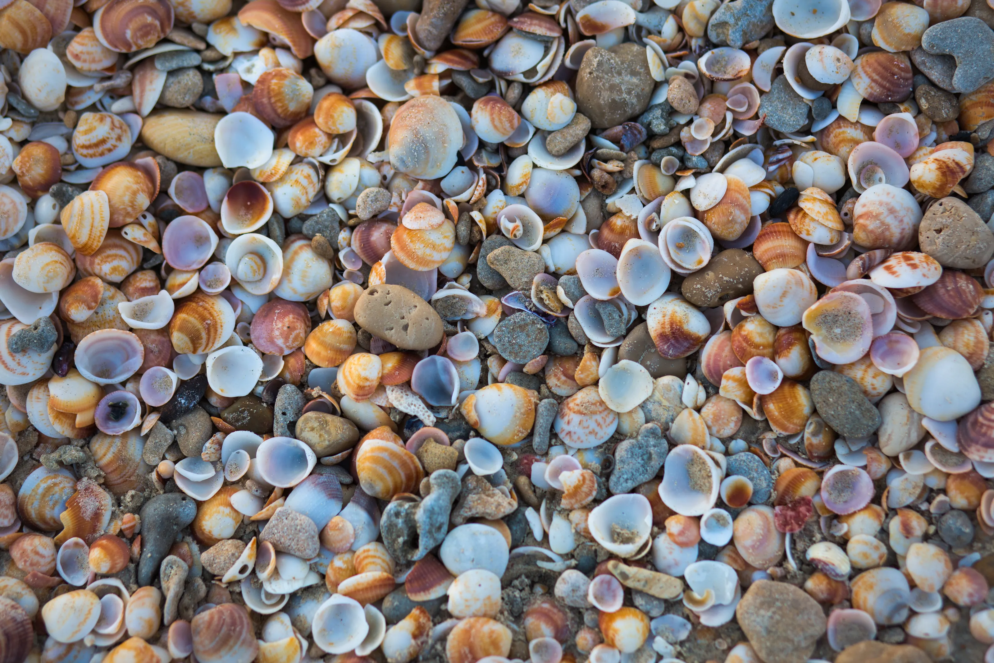 Objects on the beach