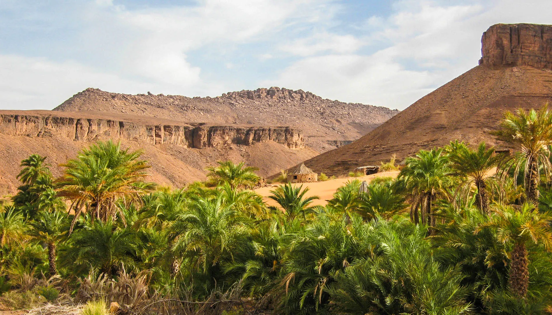 Oasis