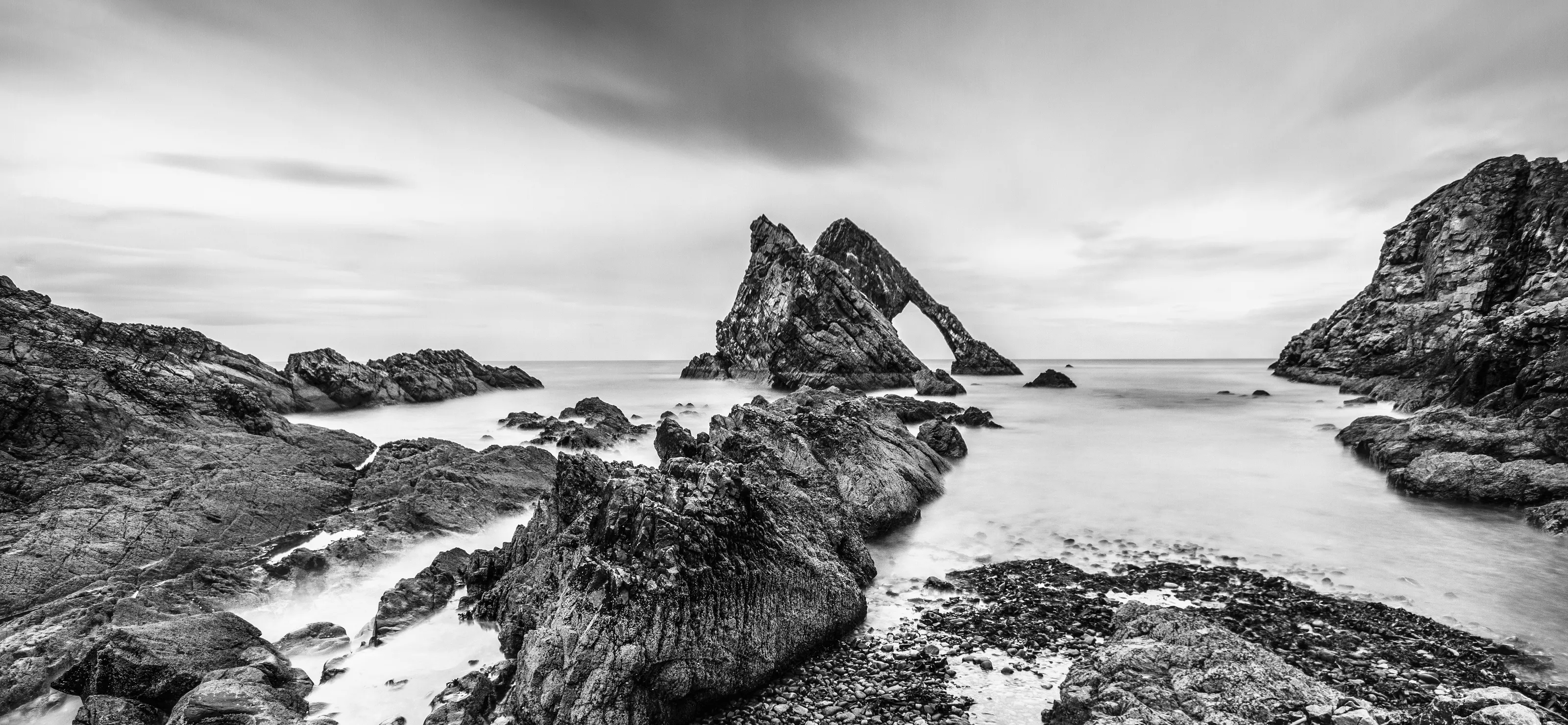 Landscape and Nature in Black and White
