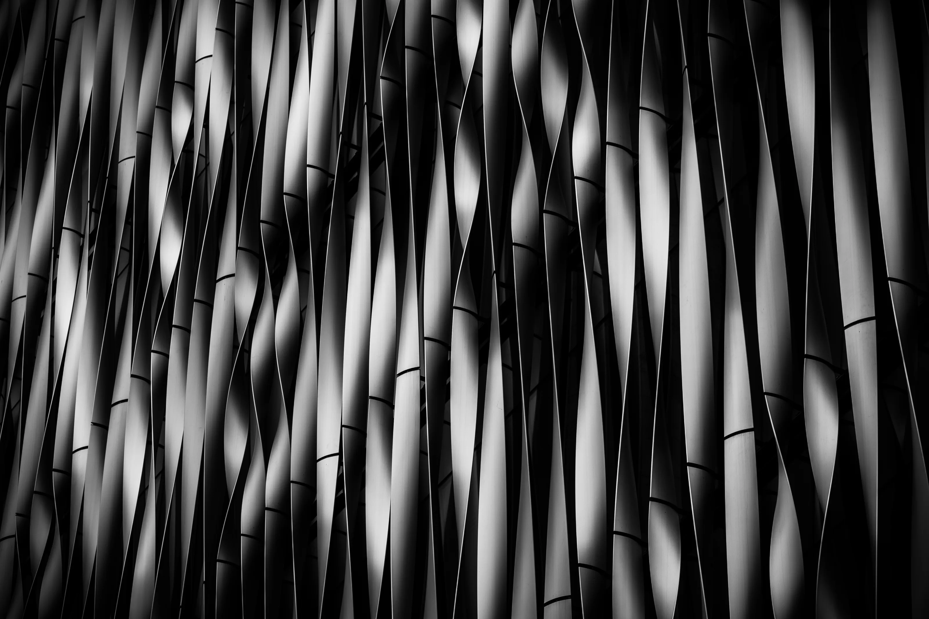 Black and white abstracts
