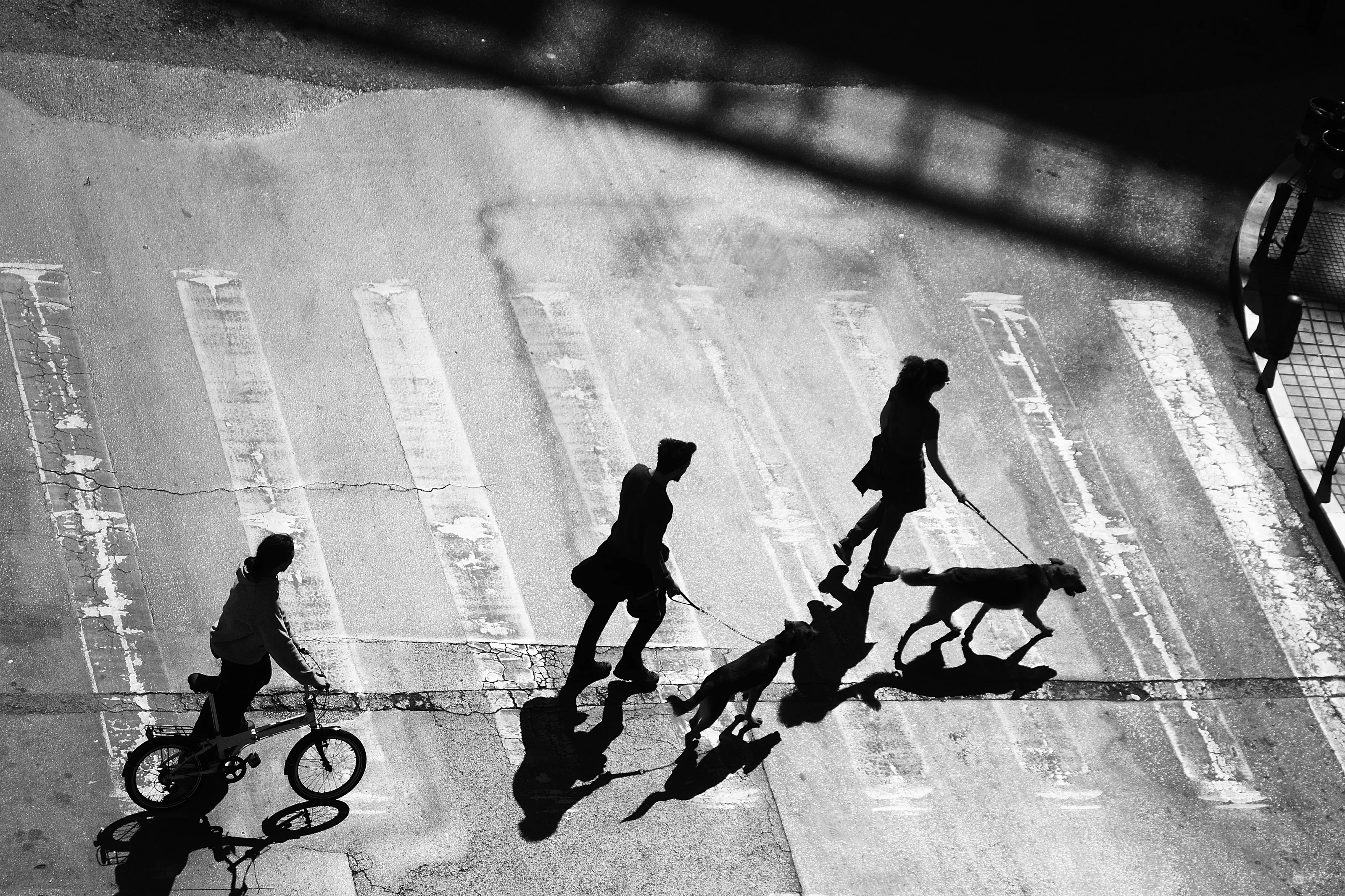 Shadows and silhouettes