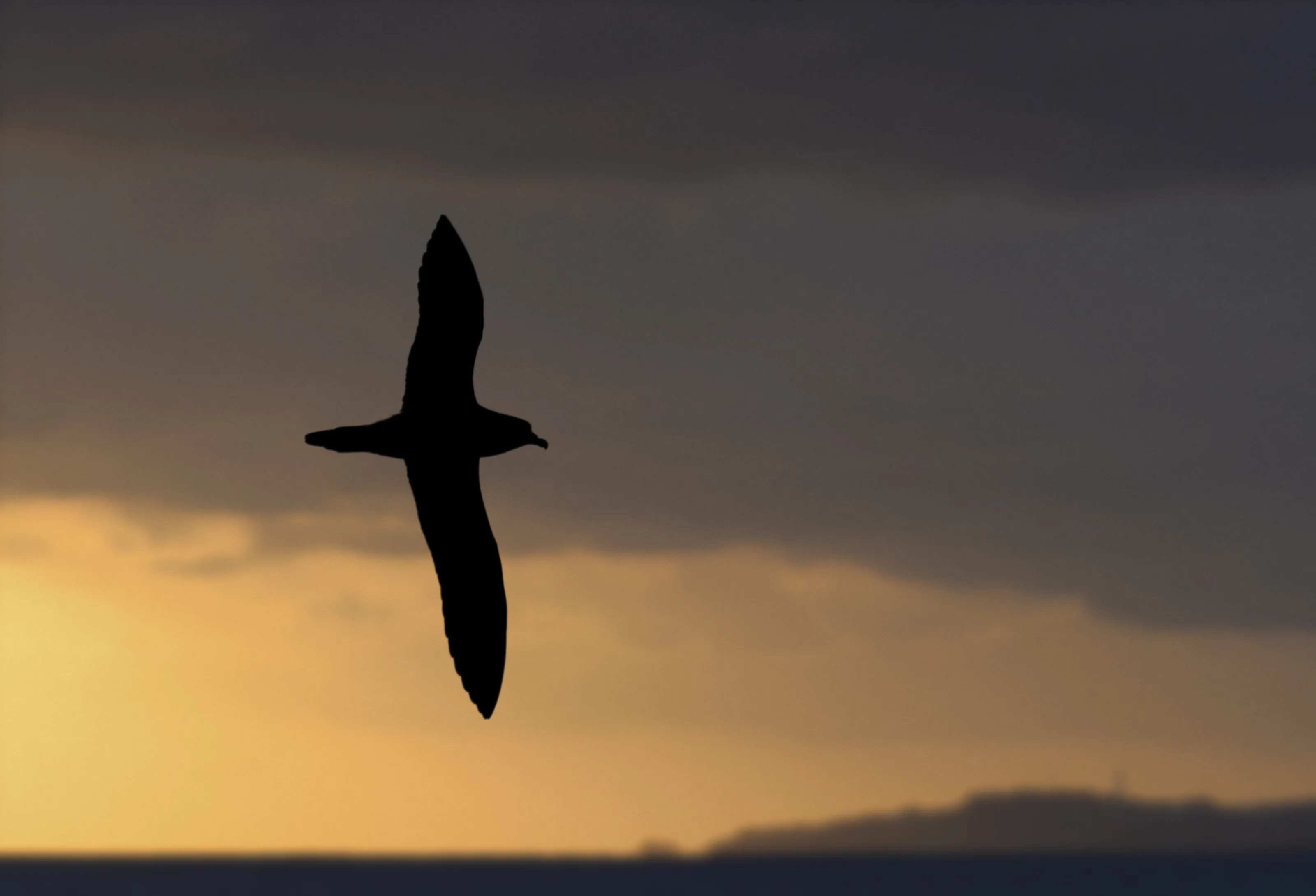 Wildlife Worldwide’s Inspirational Encounters