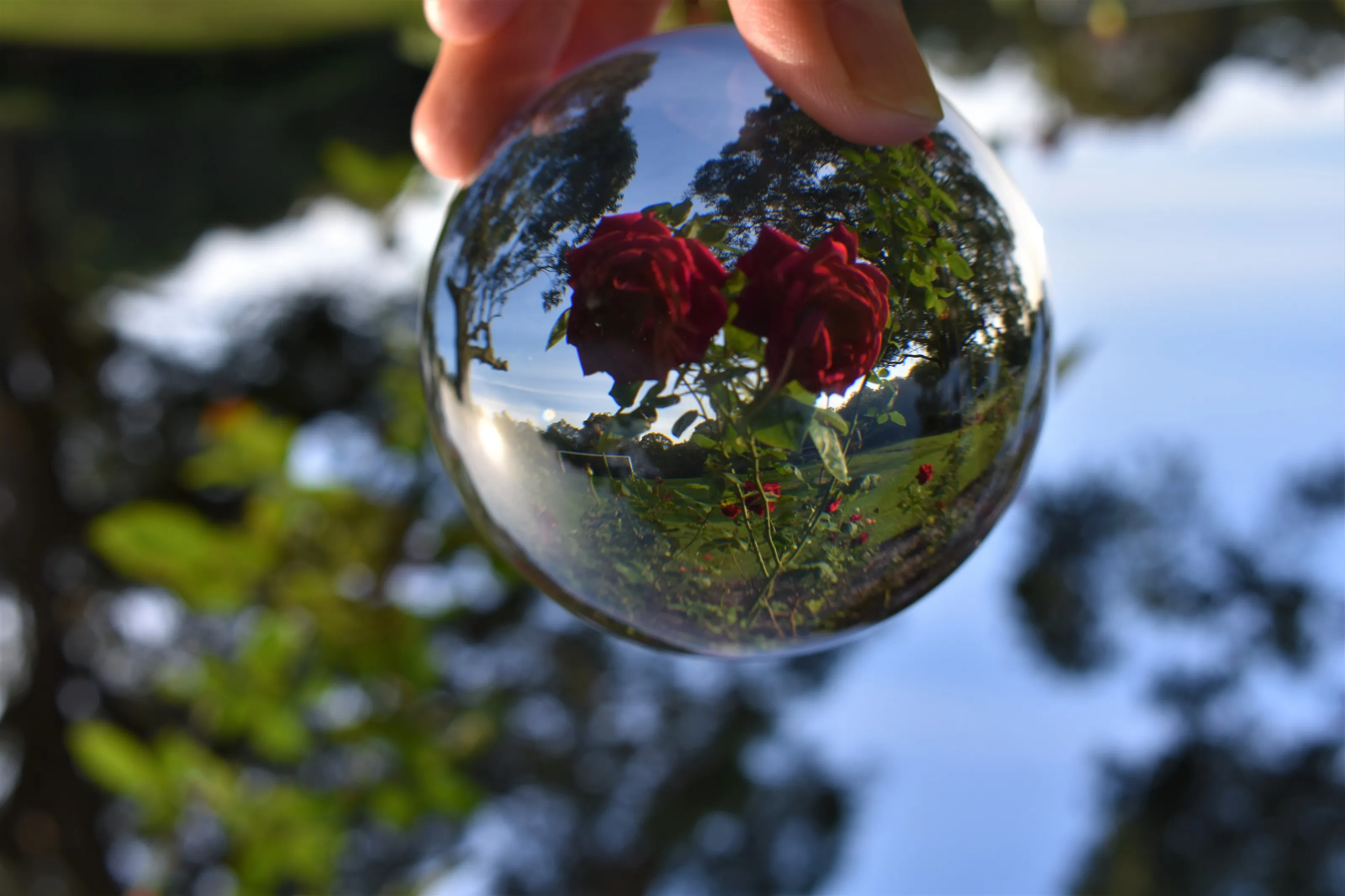 Crystal Ball Photography