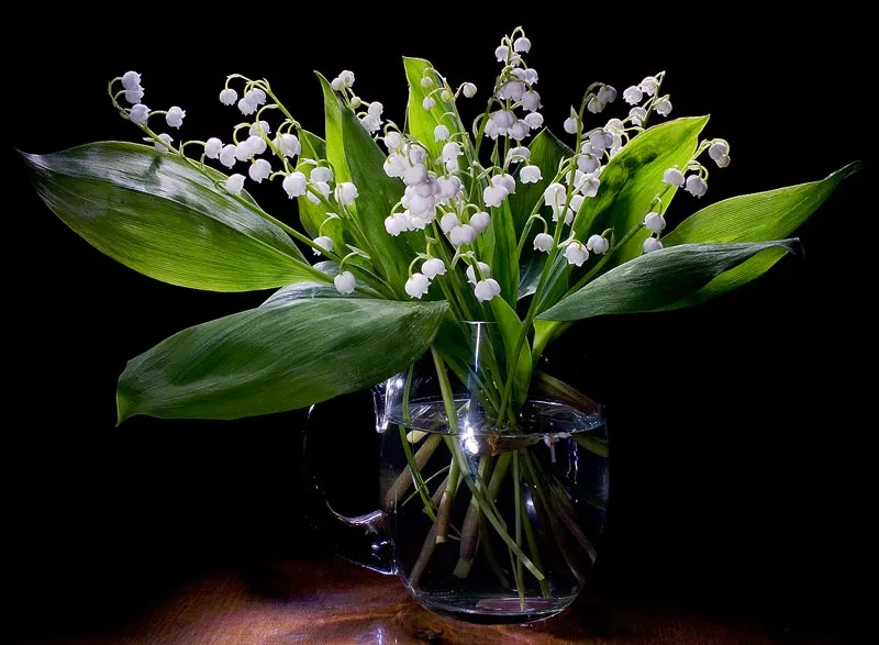 A Vase of Flowers