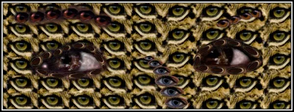 Creative composites