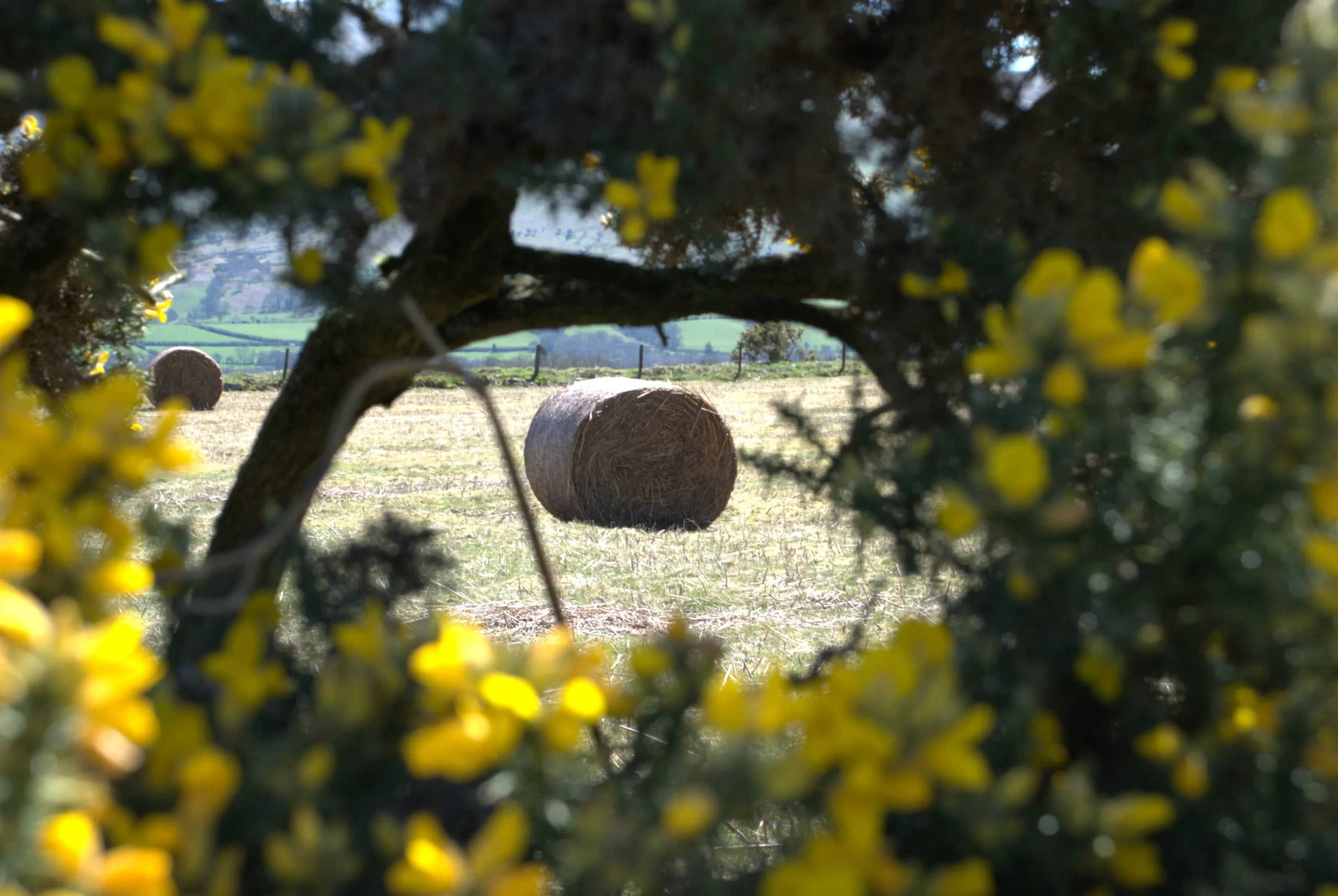 Natural Framing