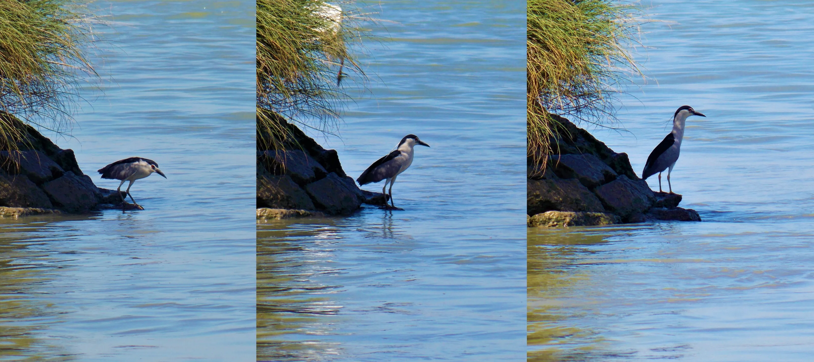 Triptych