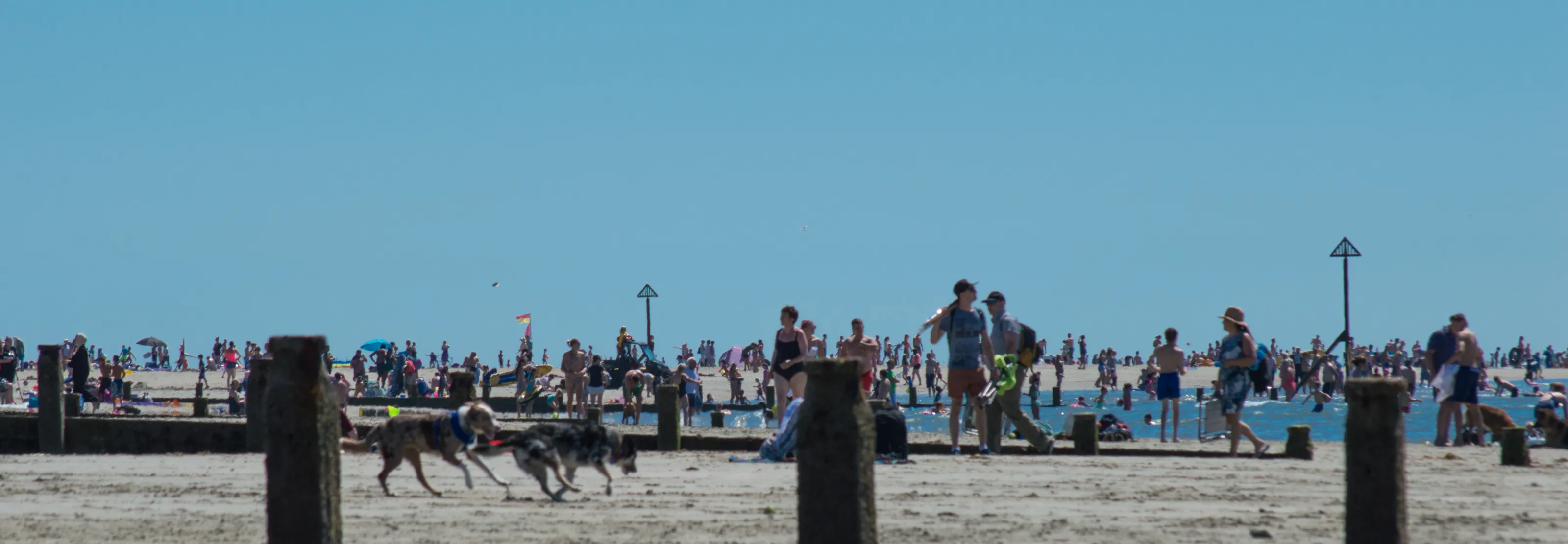 A Day at the Beach