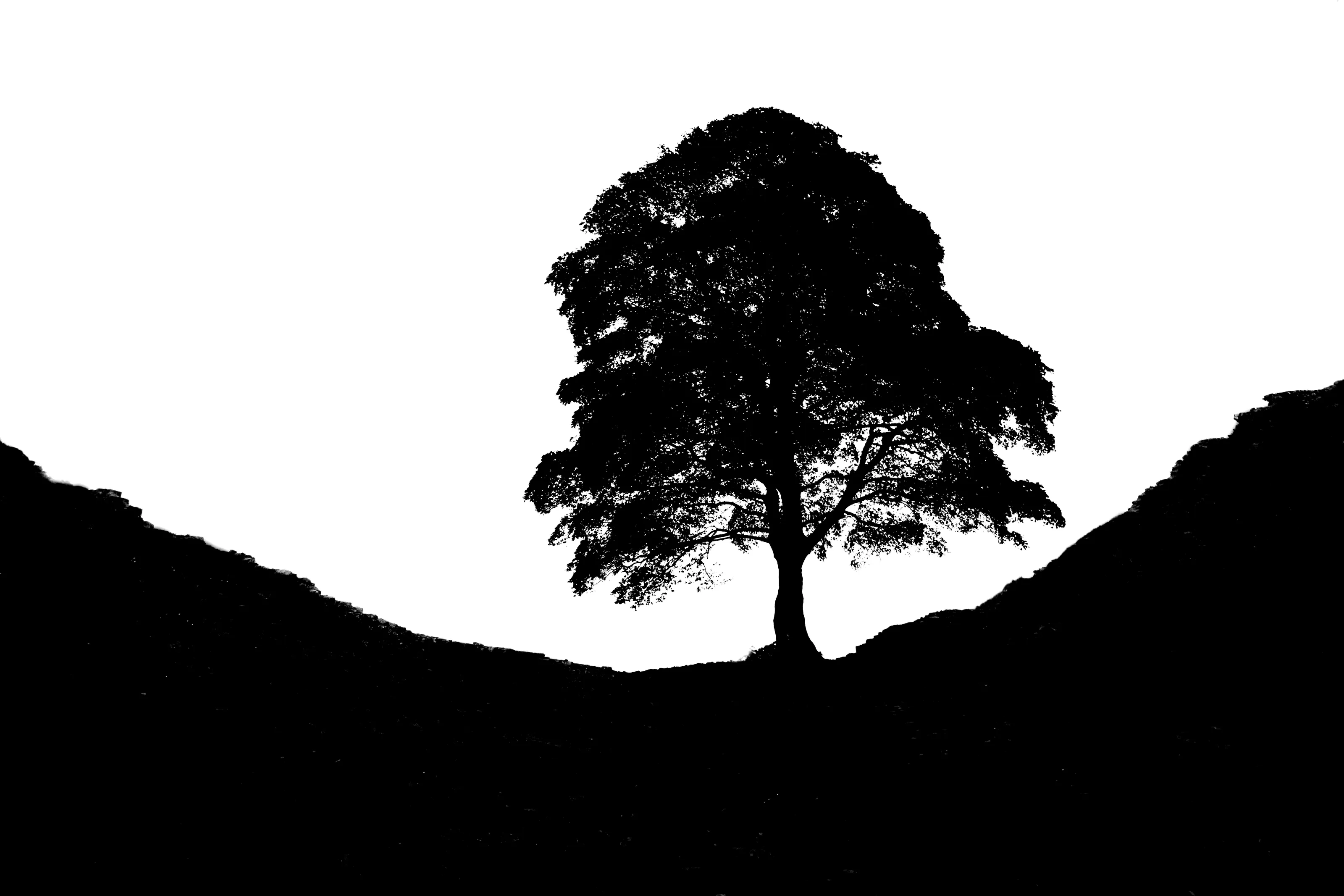 Purely Black and White
