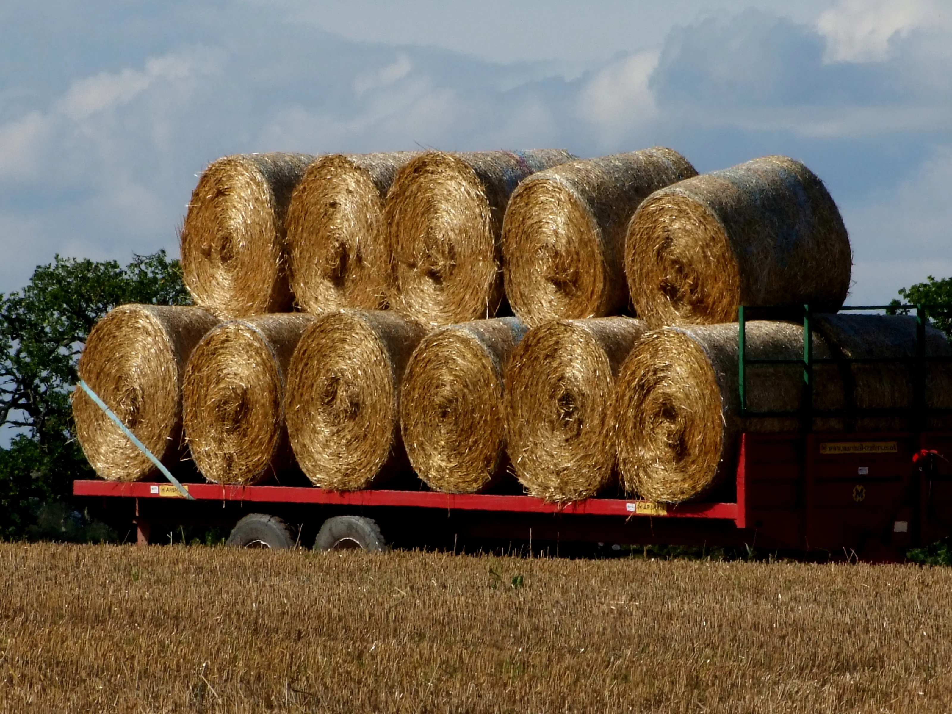Bales of Straw or Wheat (no people)