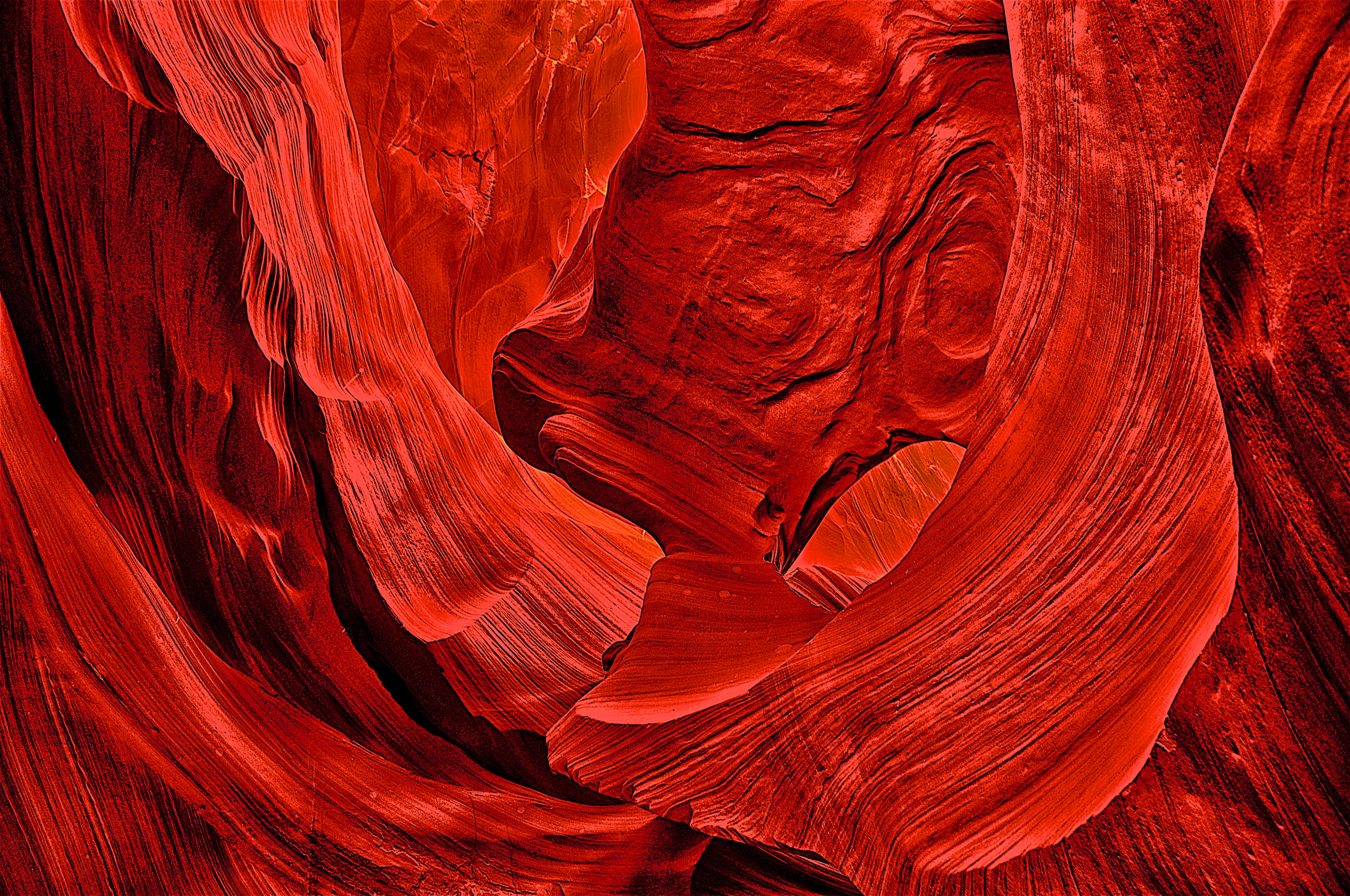 All shades of red