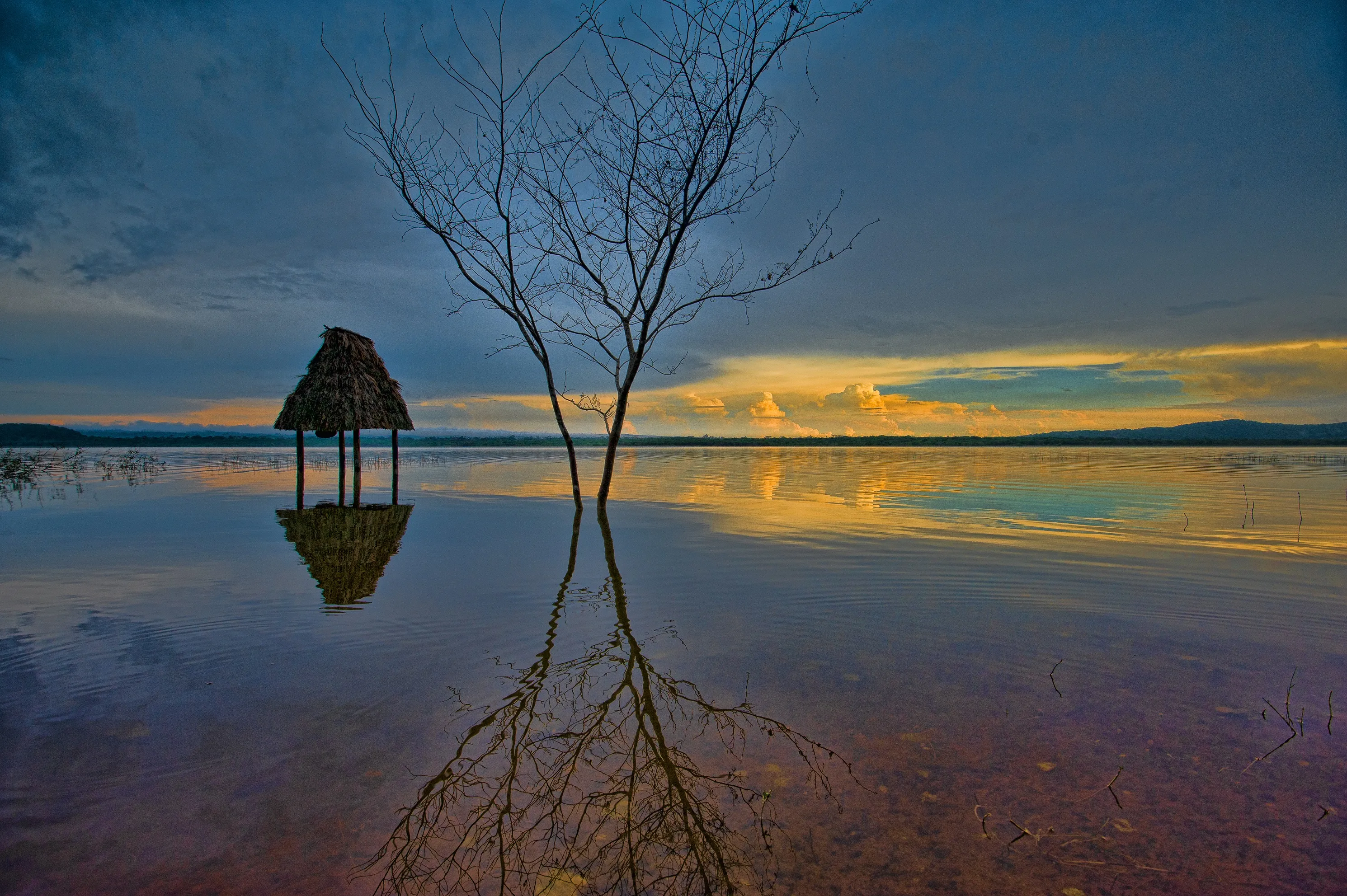 Water Reflections