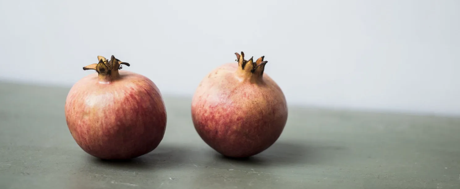 Still Life