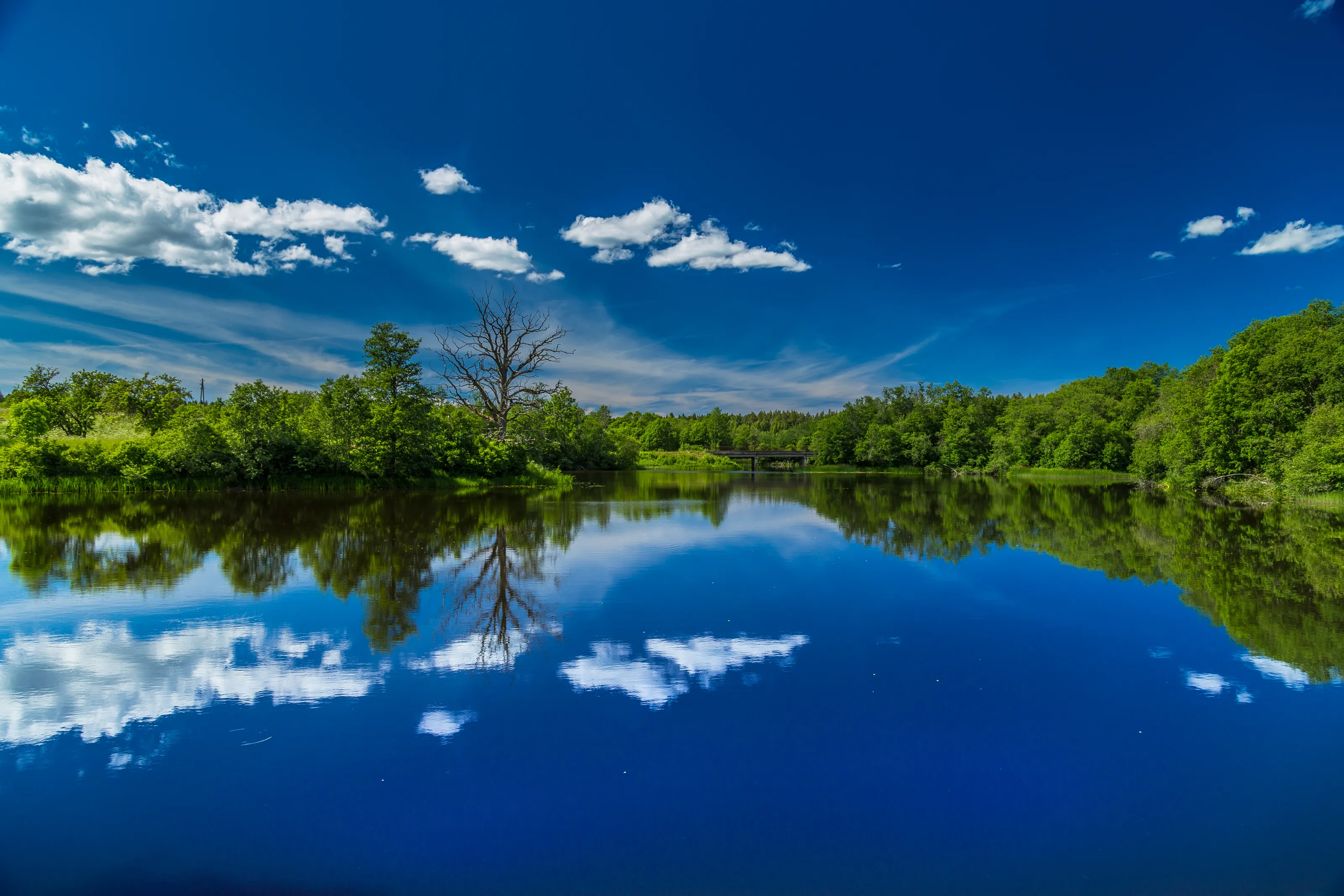Landscapes of Baltic States