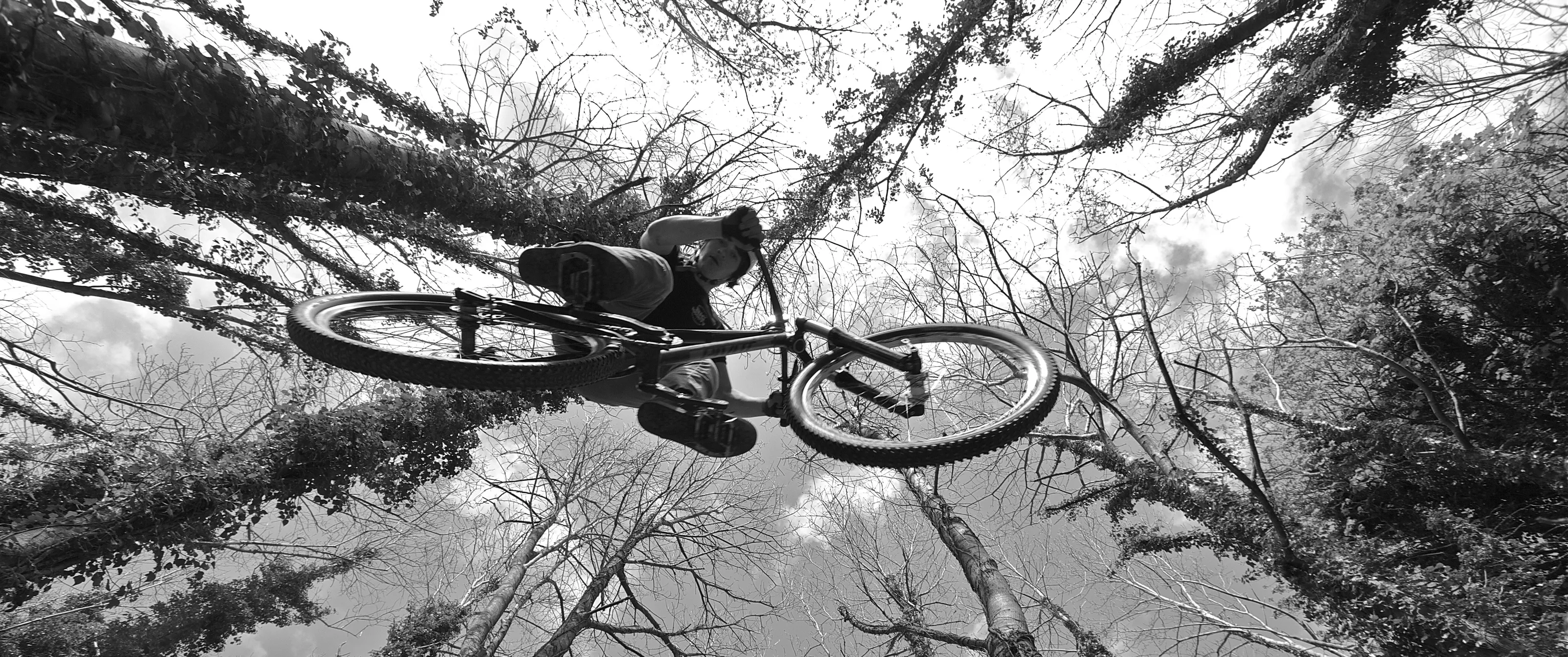 Hobbies