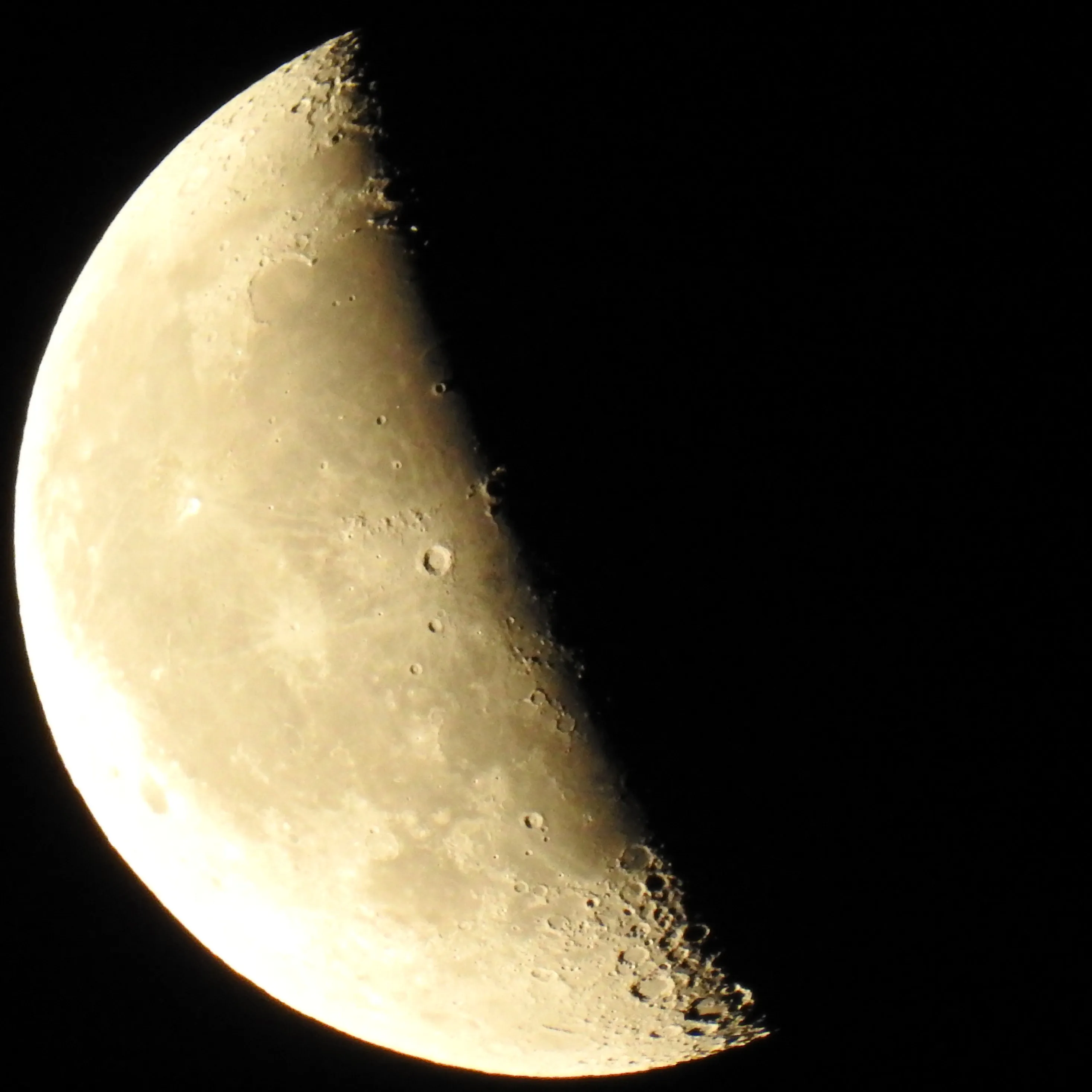 Moonlight