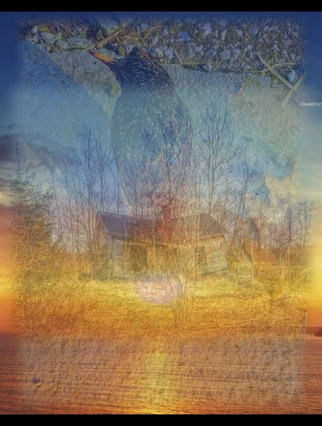 Double exposure effect