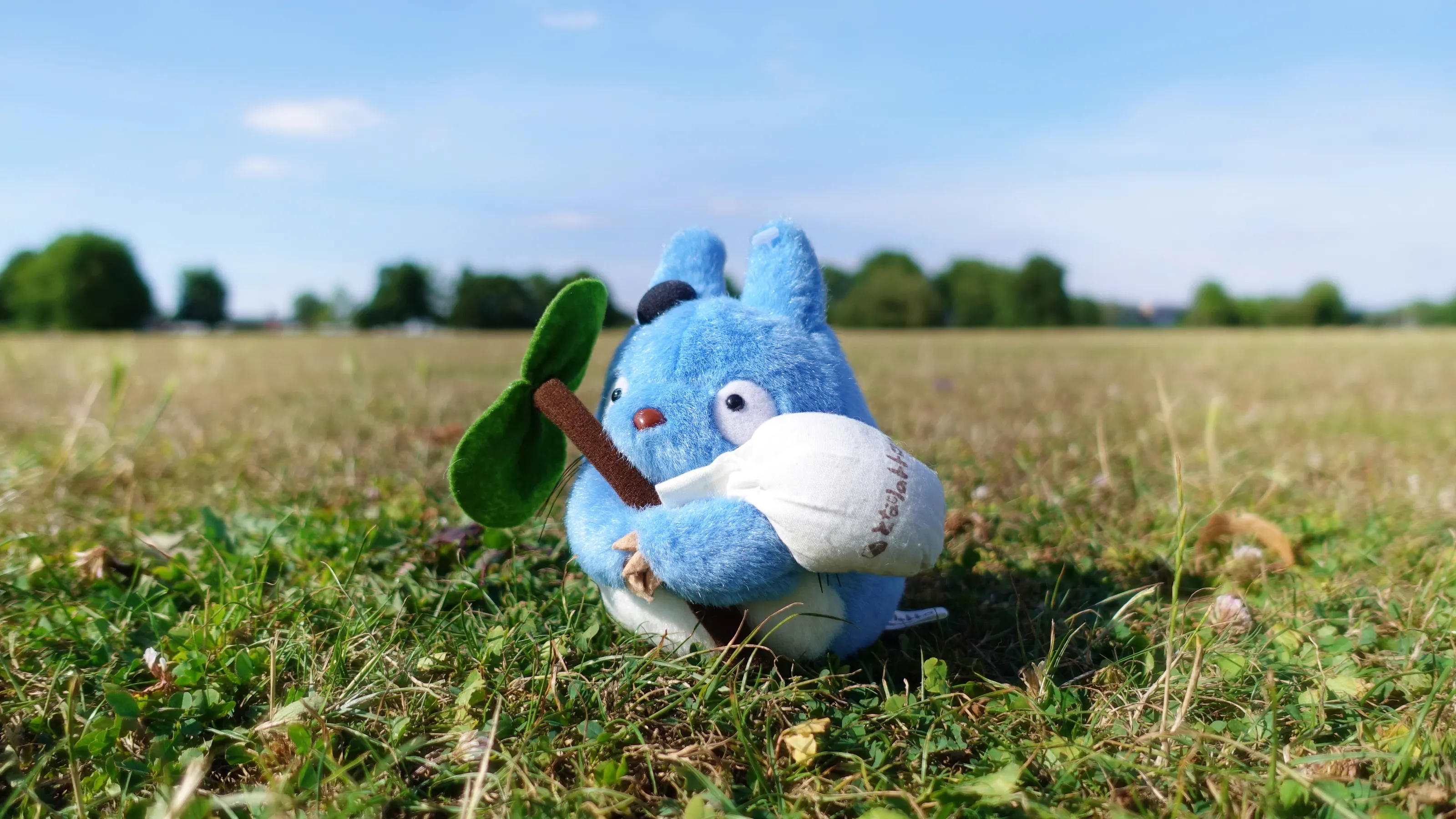 Toy Animals (No Teddy Bears)