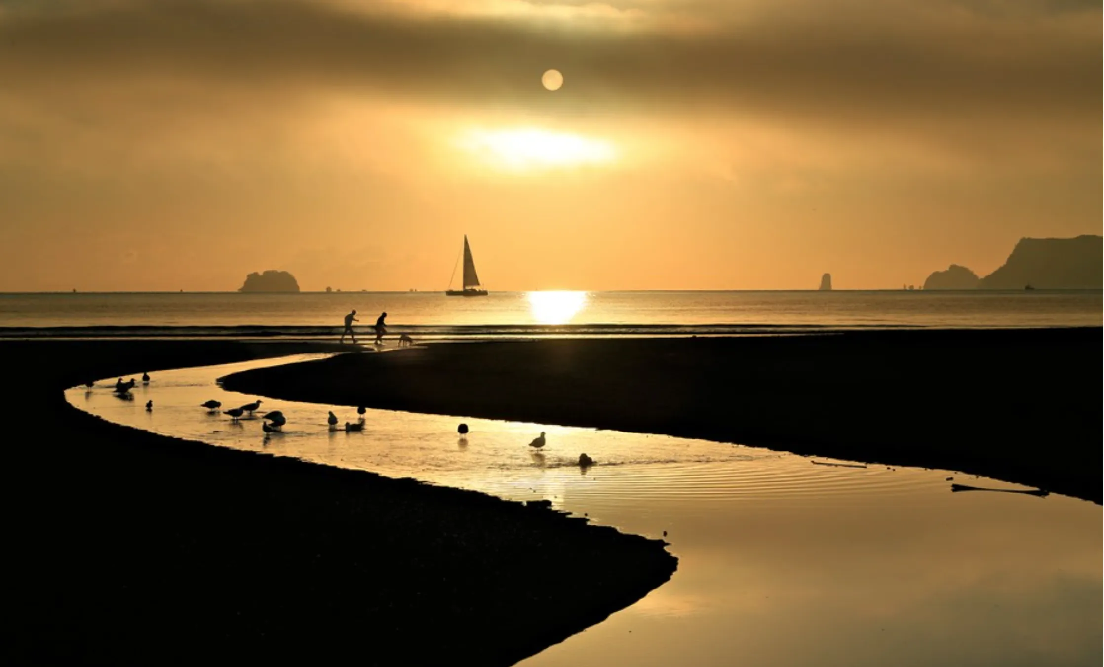 Beaches and seashores