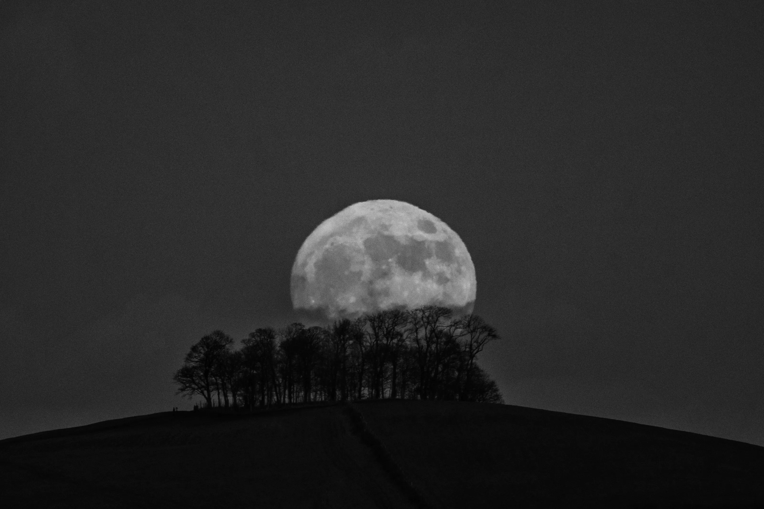 Moon rise