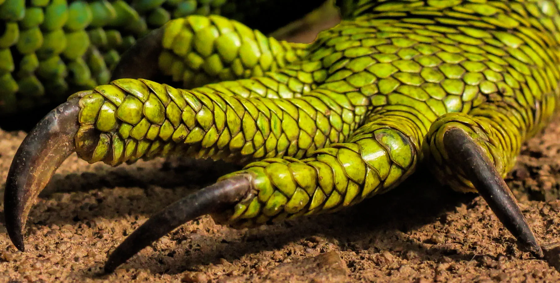 Fascinating Patterns