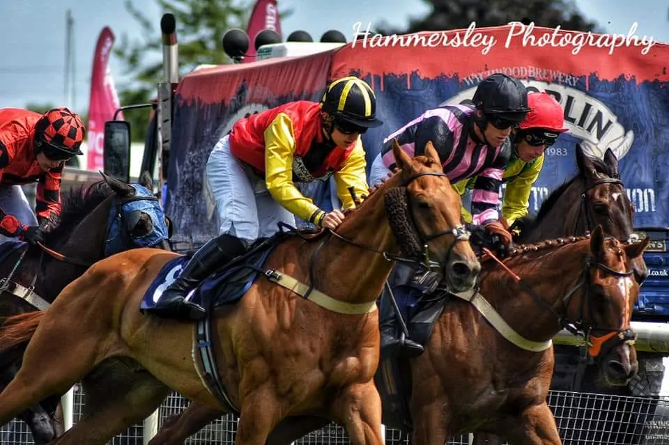 Racehorses - Horse Racing