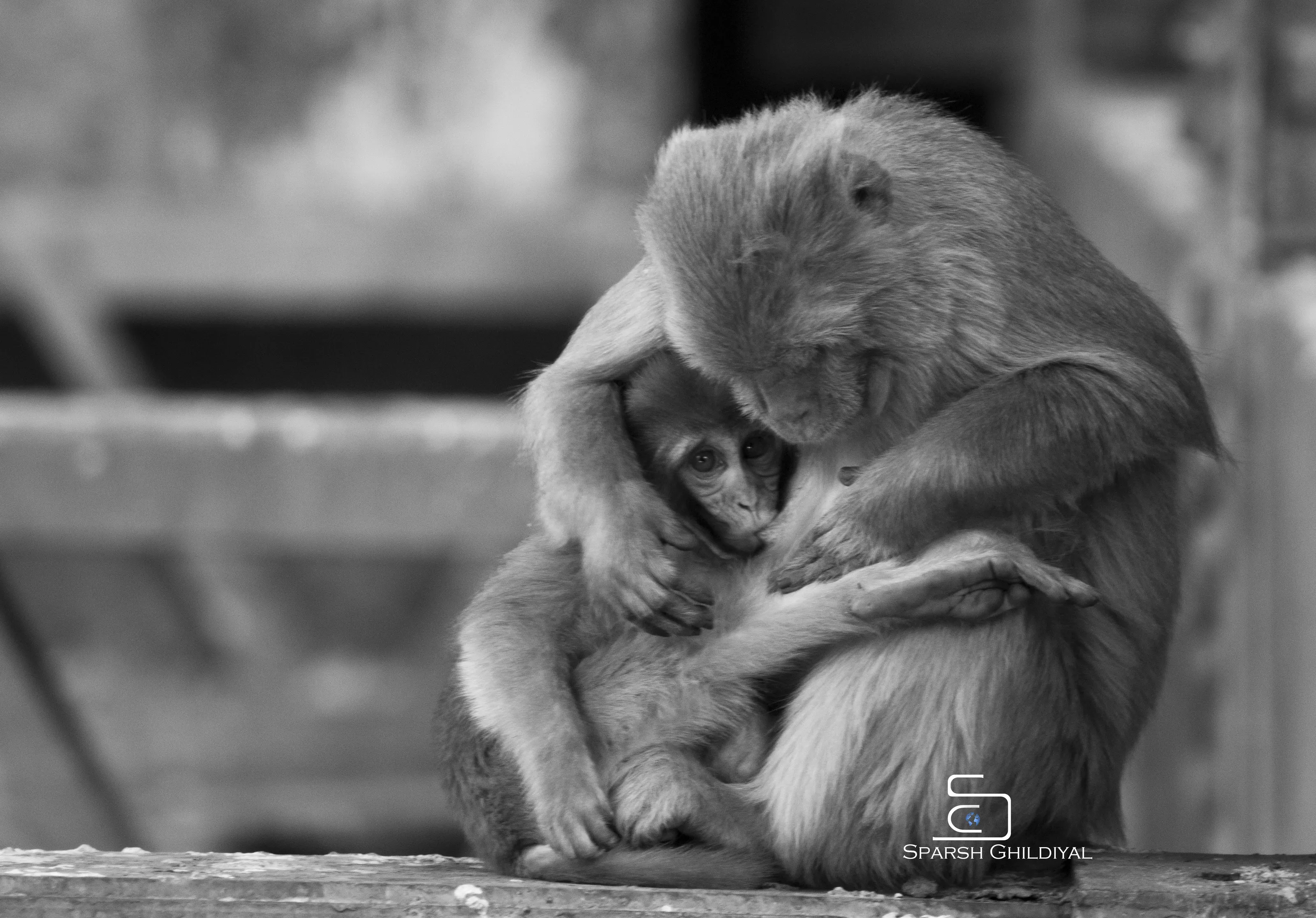 Mother love