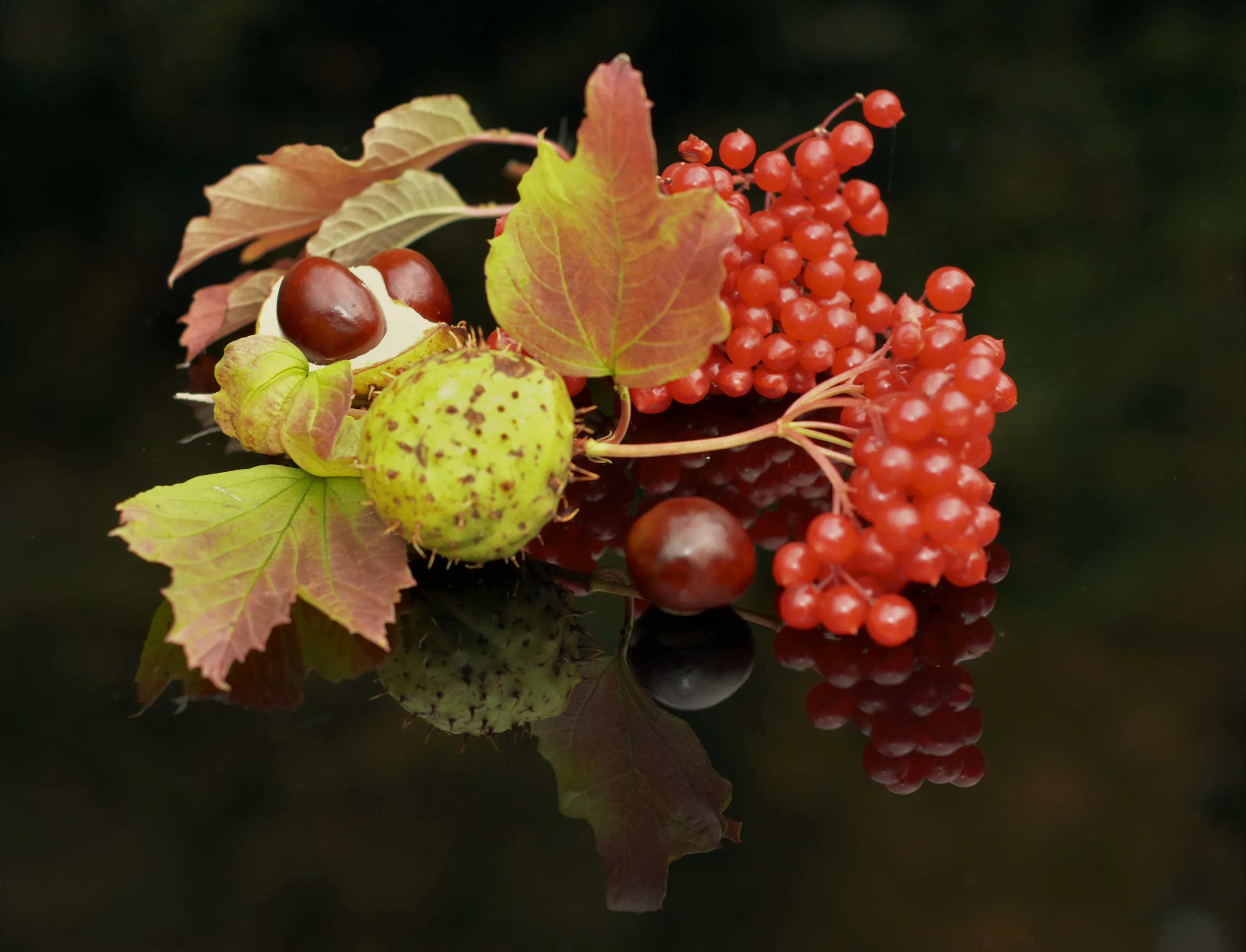 Autumn's Bounty