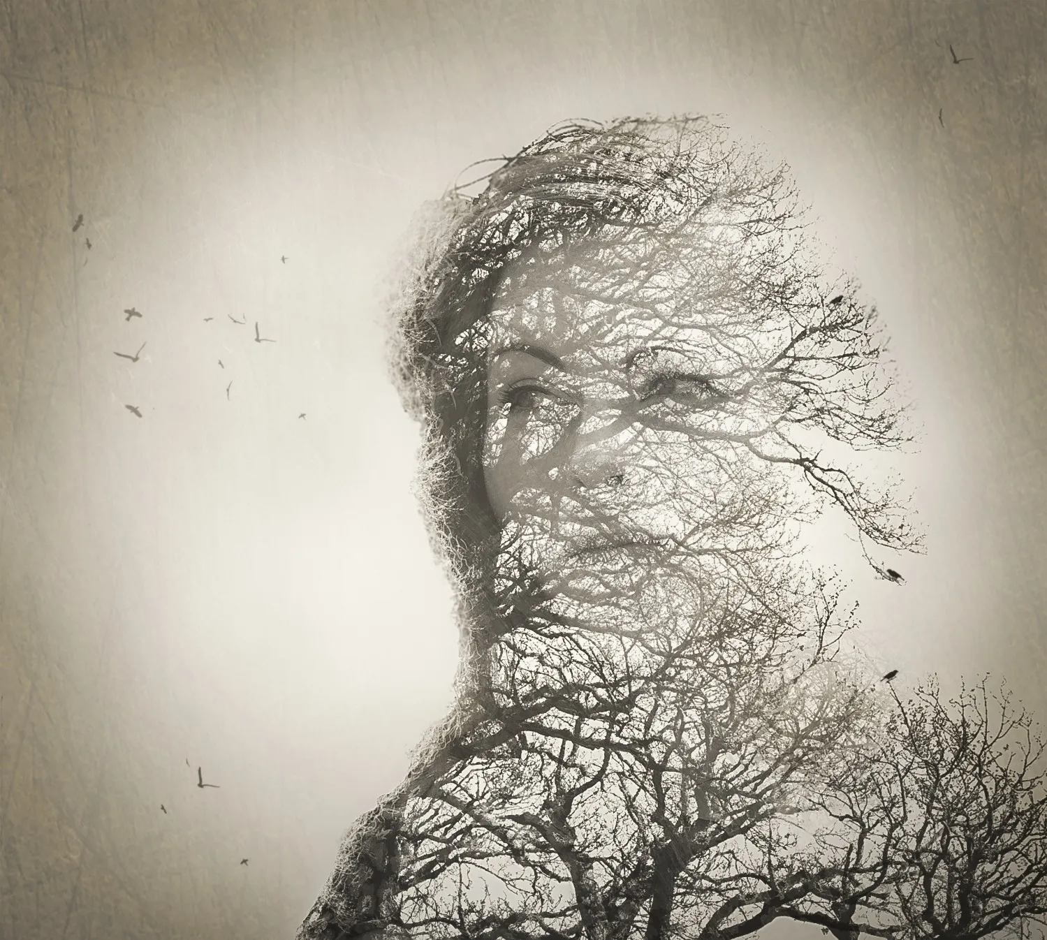Creative Portraits