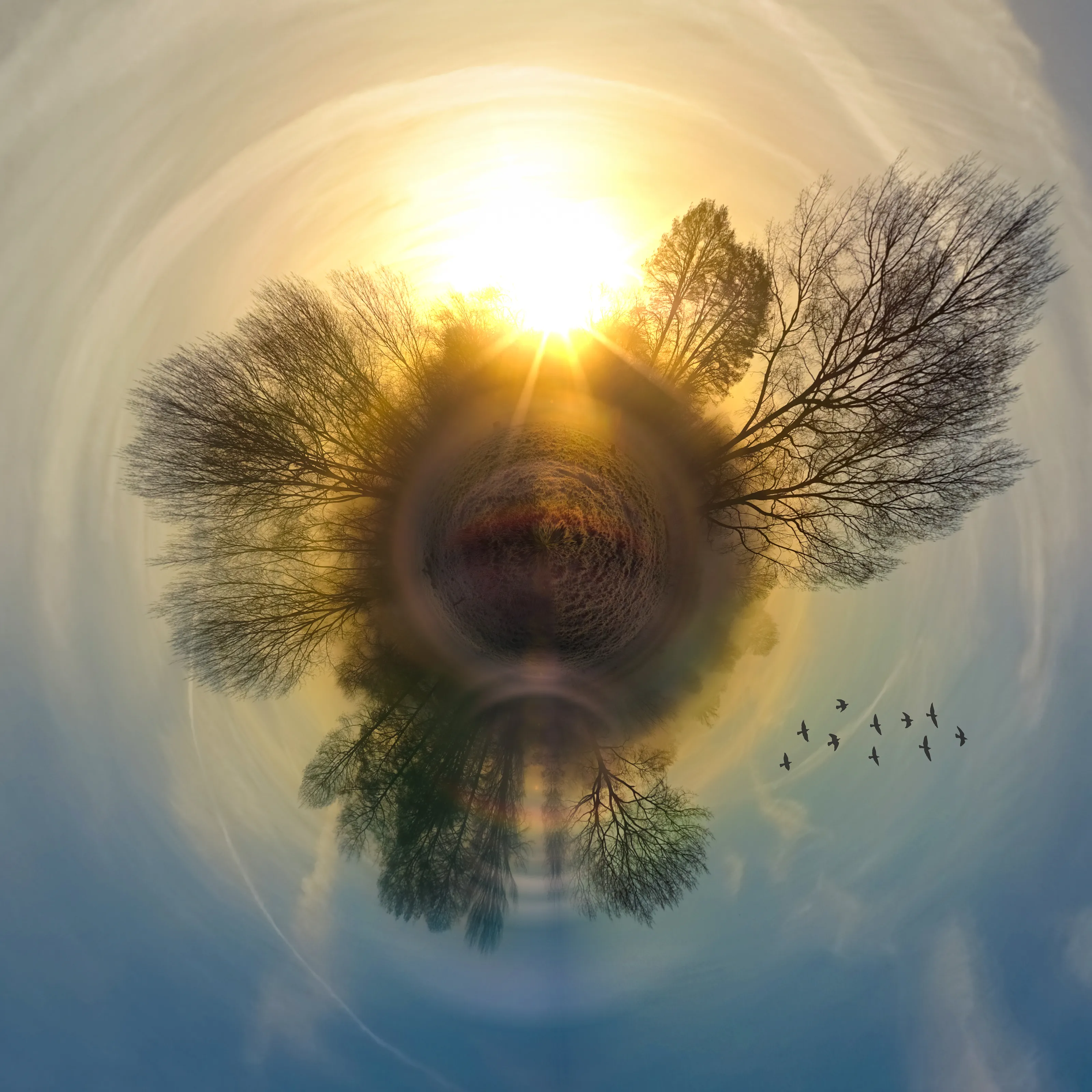 Little Planets (Panorama Worlds)