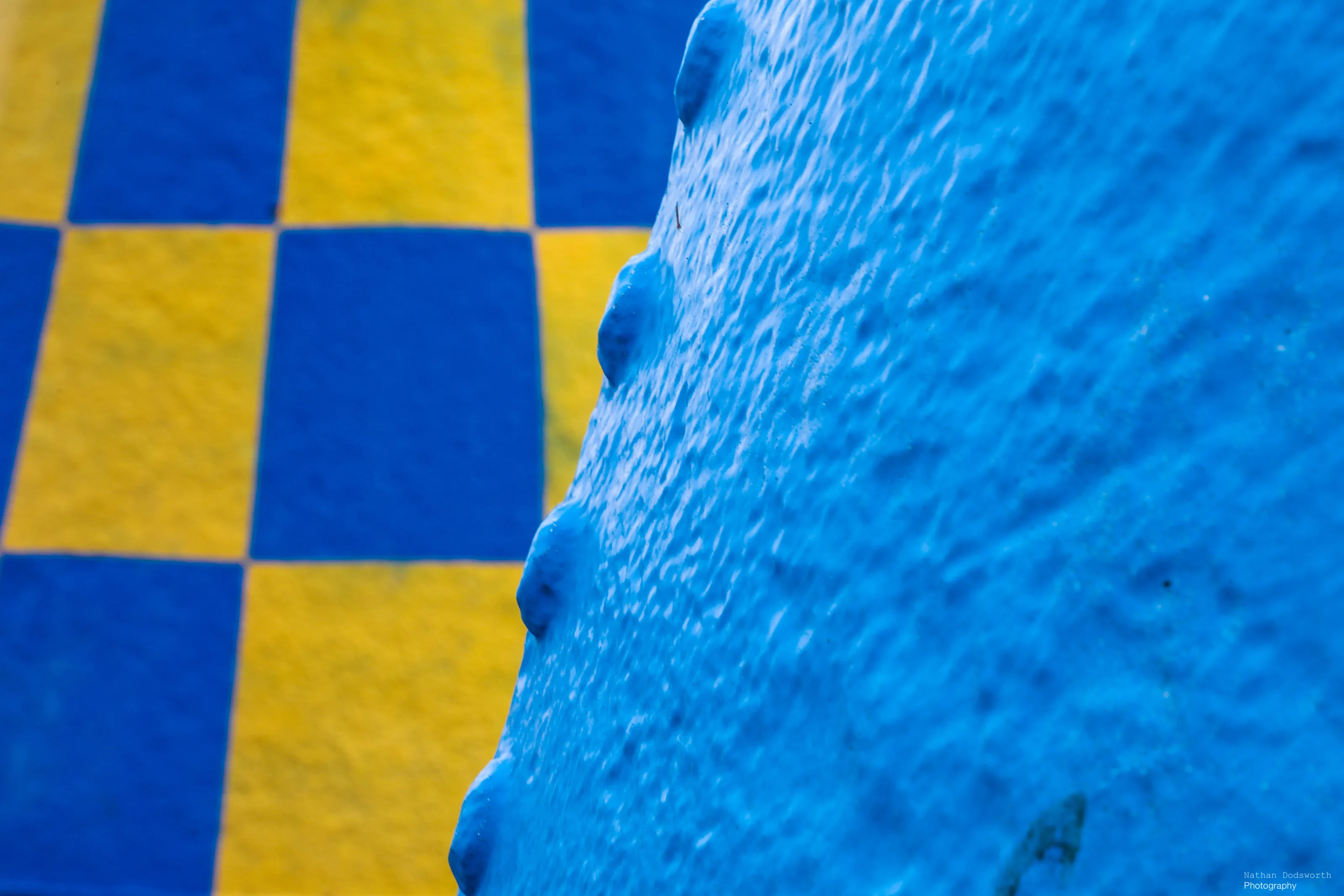 Blue and Yellow