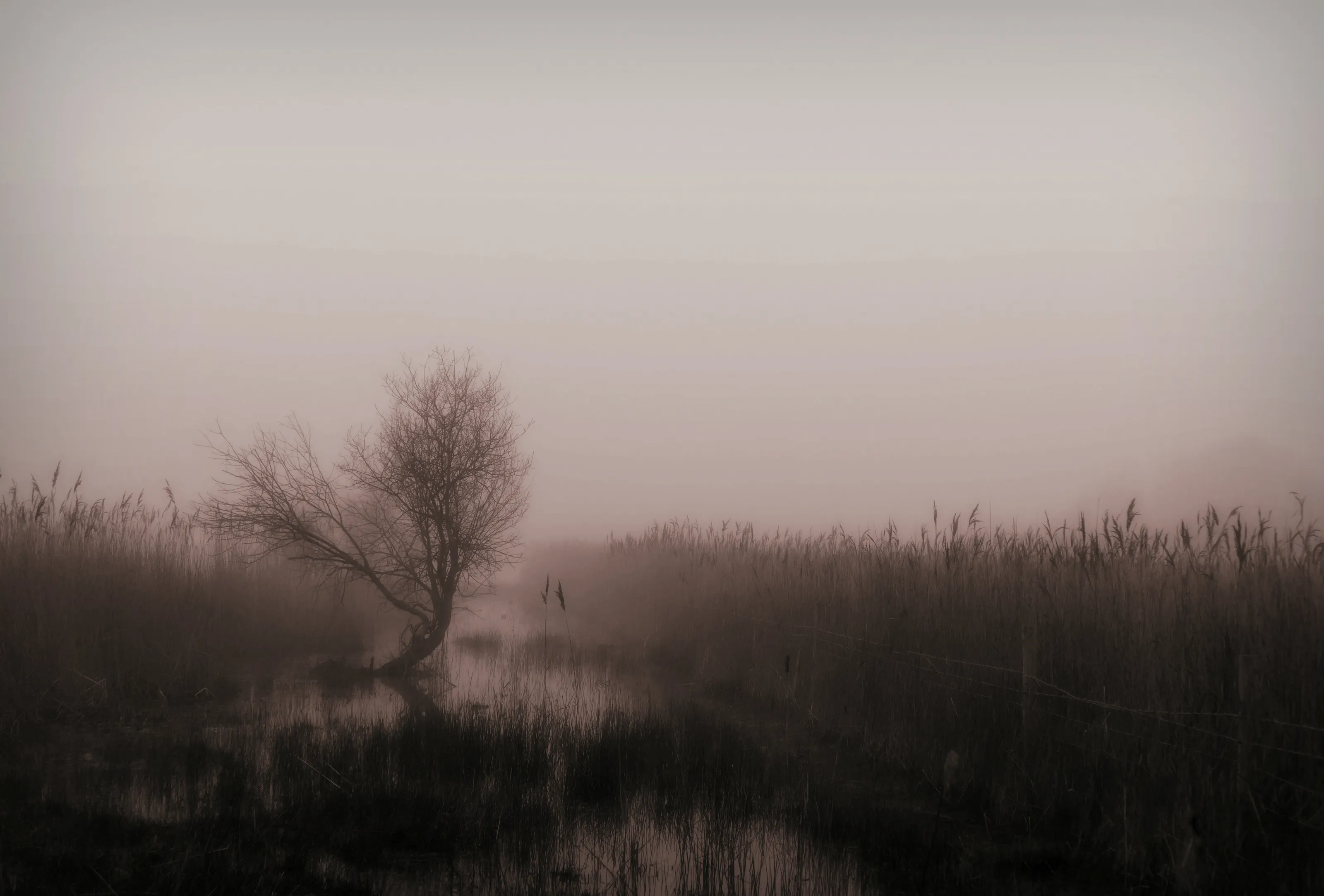 Bleak landscapes