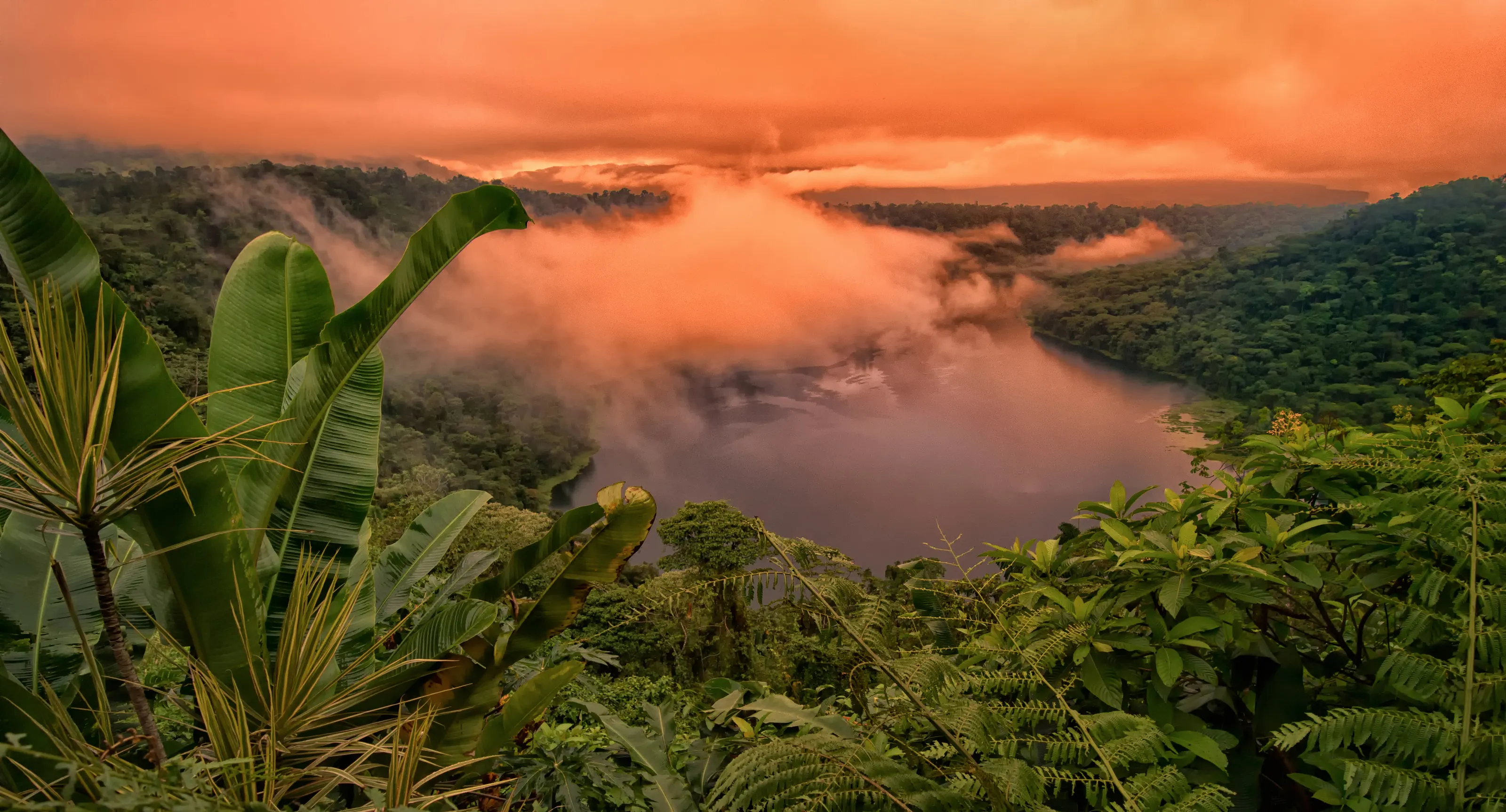 Colours in nature