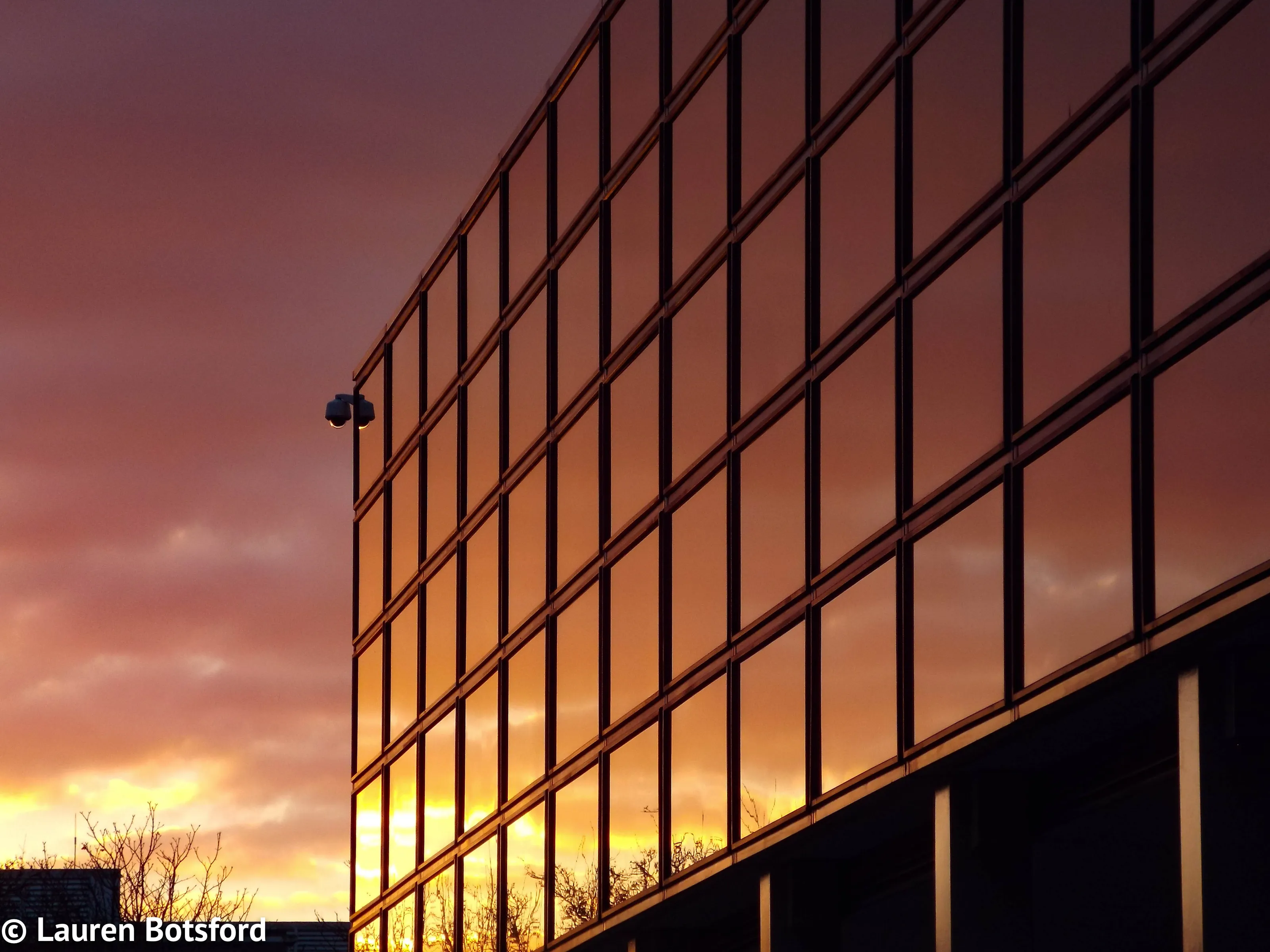 Reflections