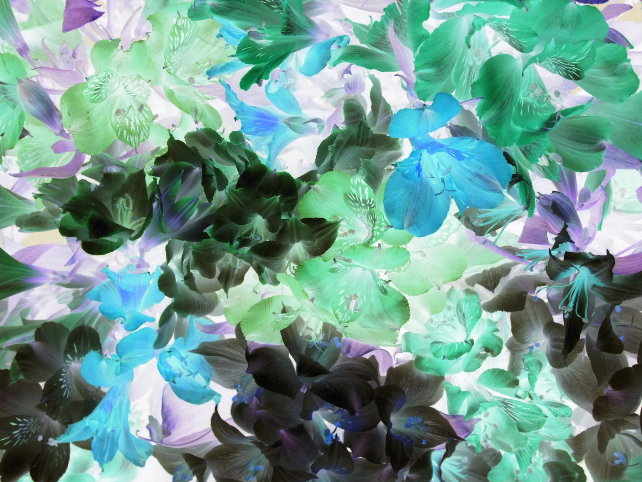 Negative or Inverted Colour Schemes