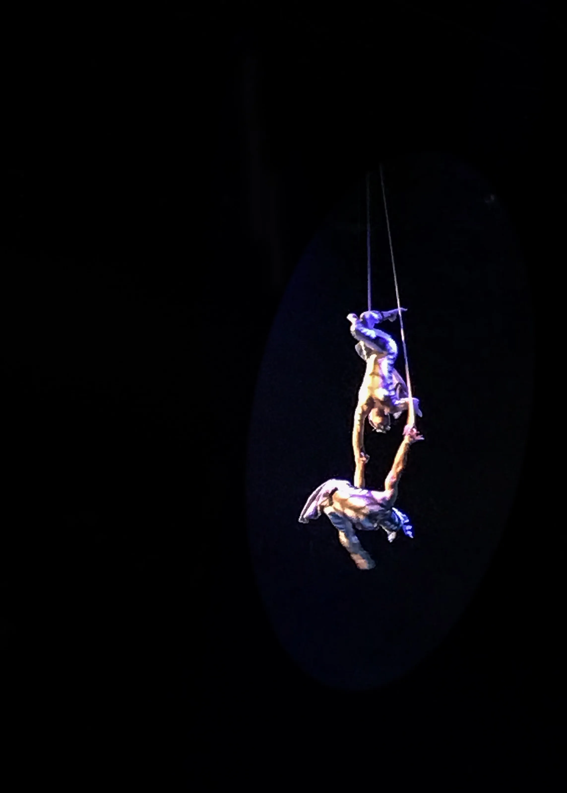 Circus