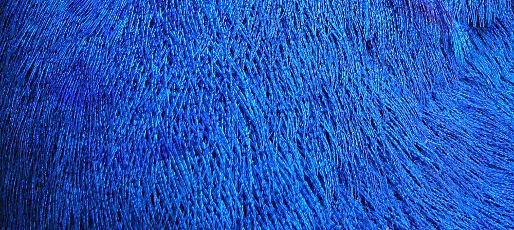 The Colour Blue